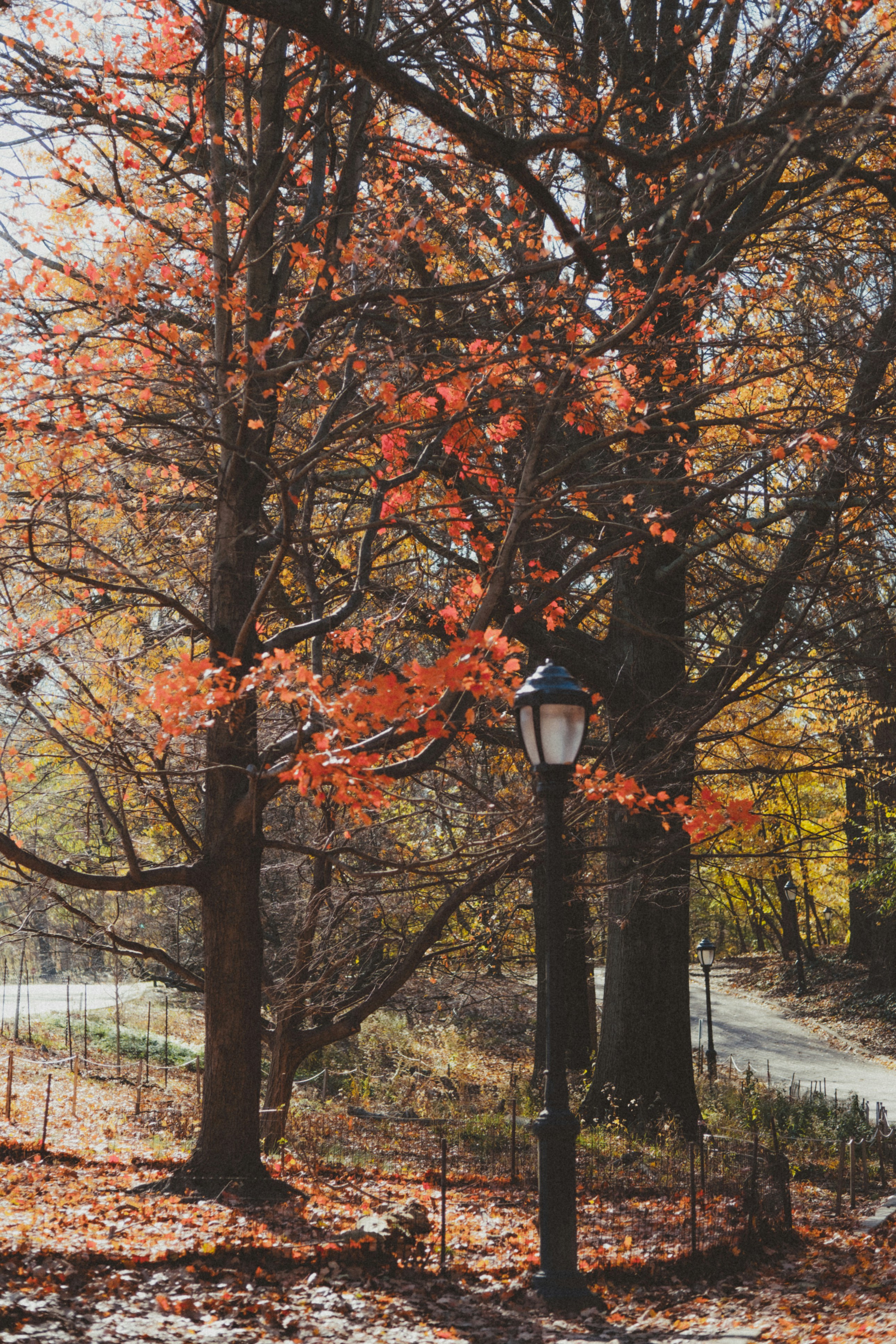 Photo by marsupialpudding