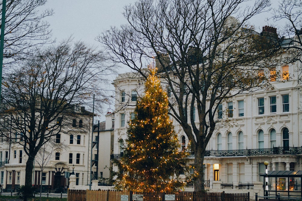 a lit christmas tree in front of a white building