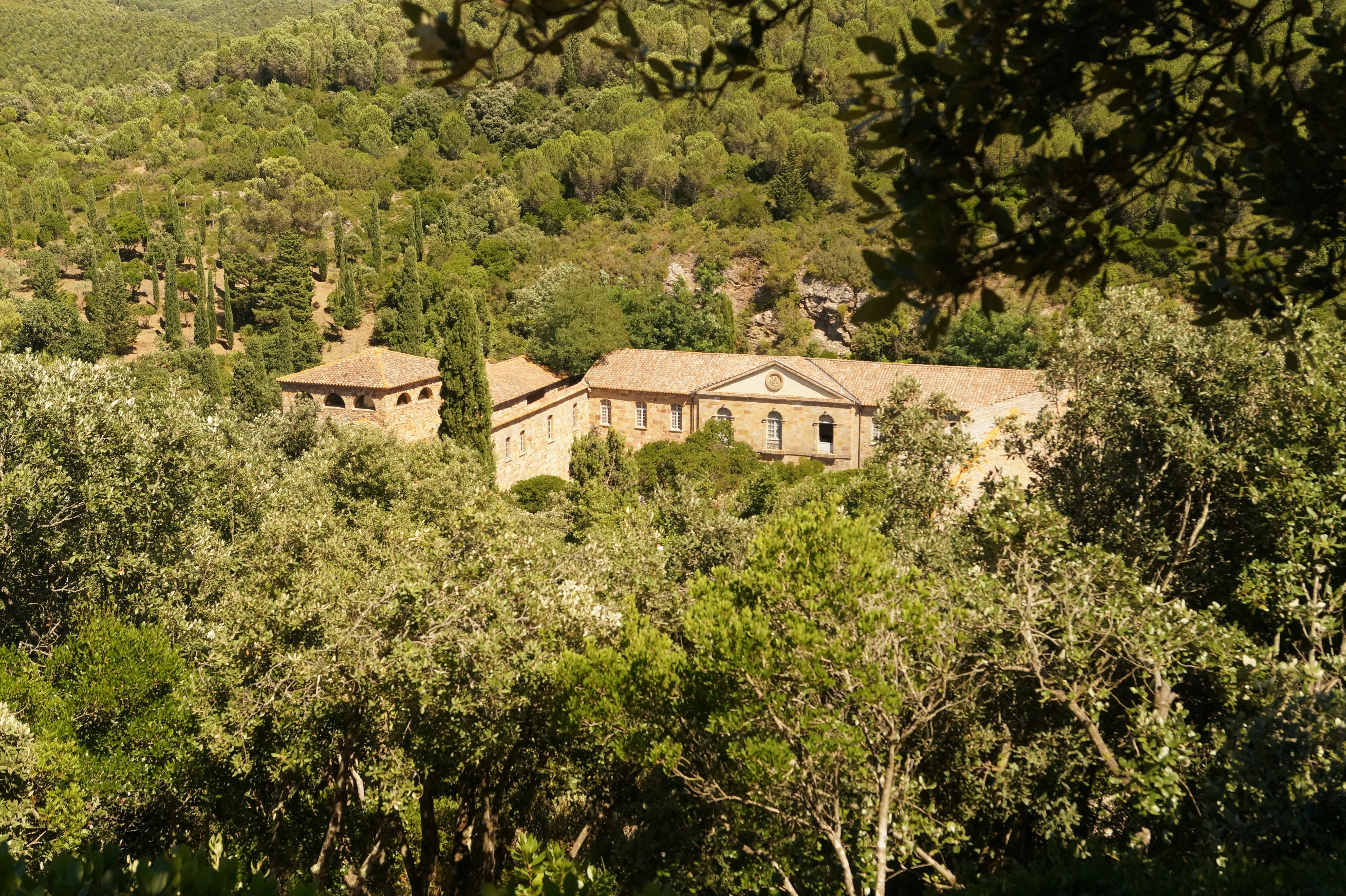 Photo by frank_kirgis