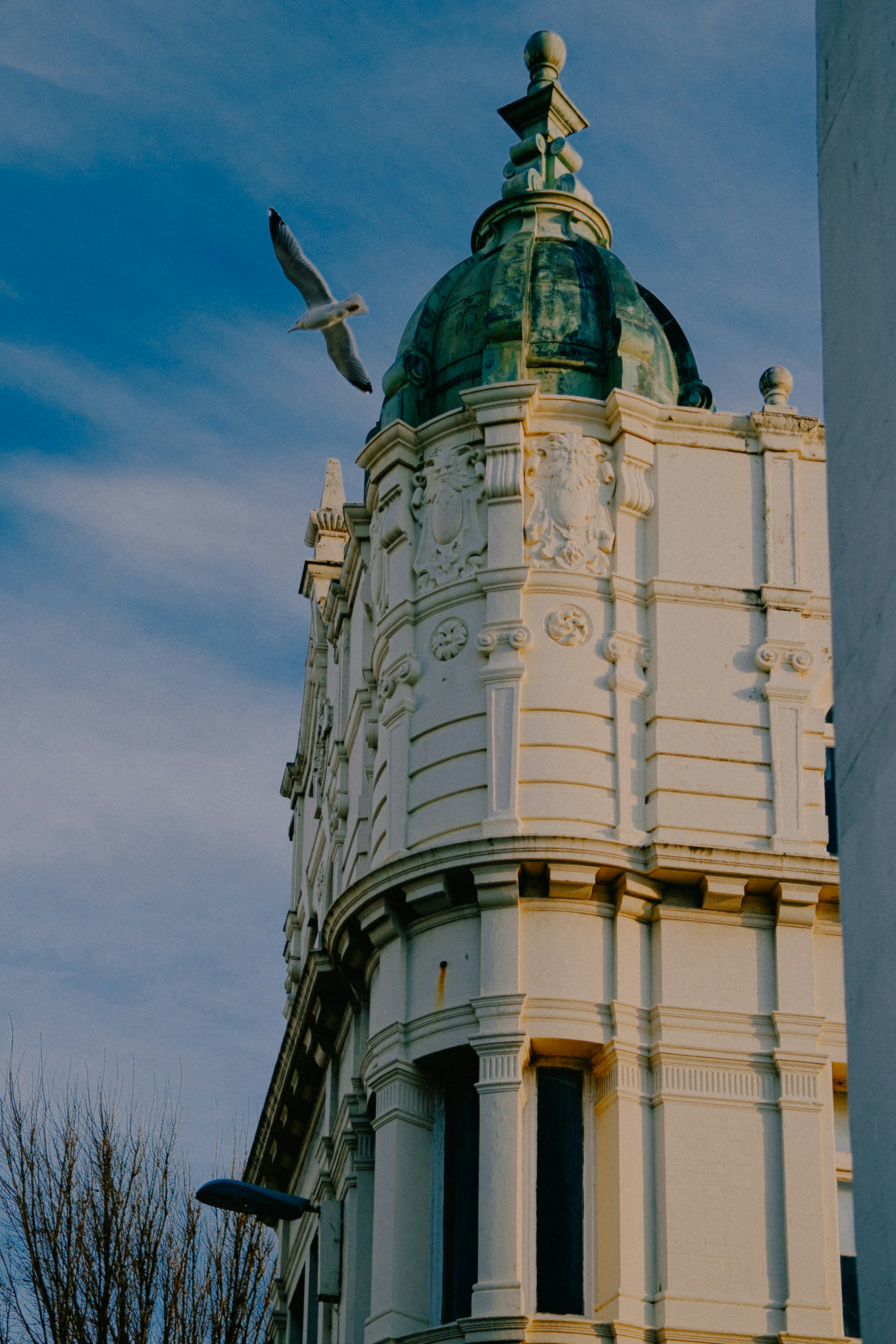 Photo by marsupialpudding