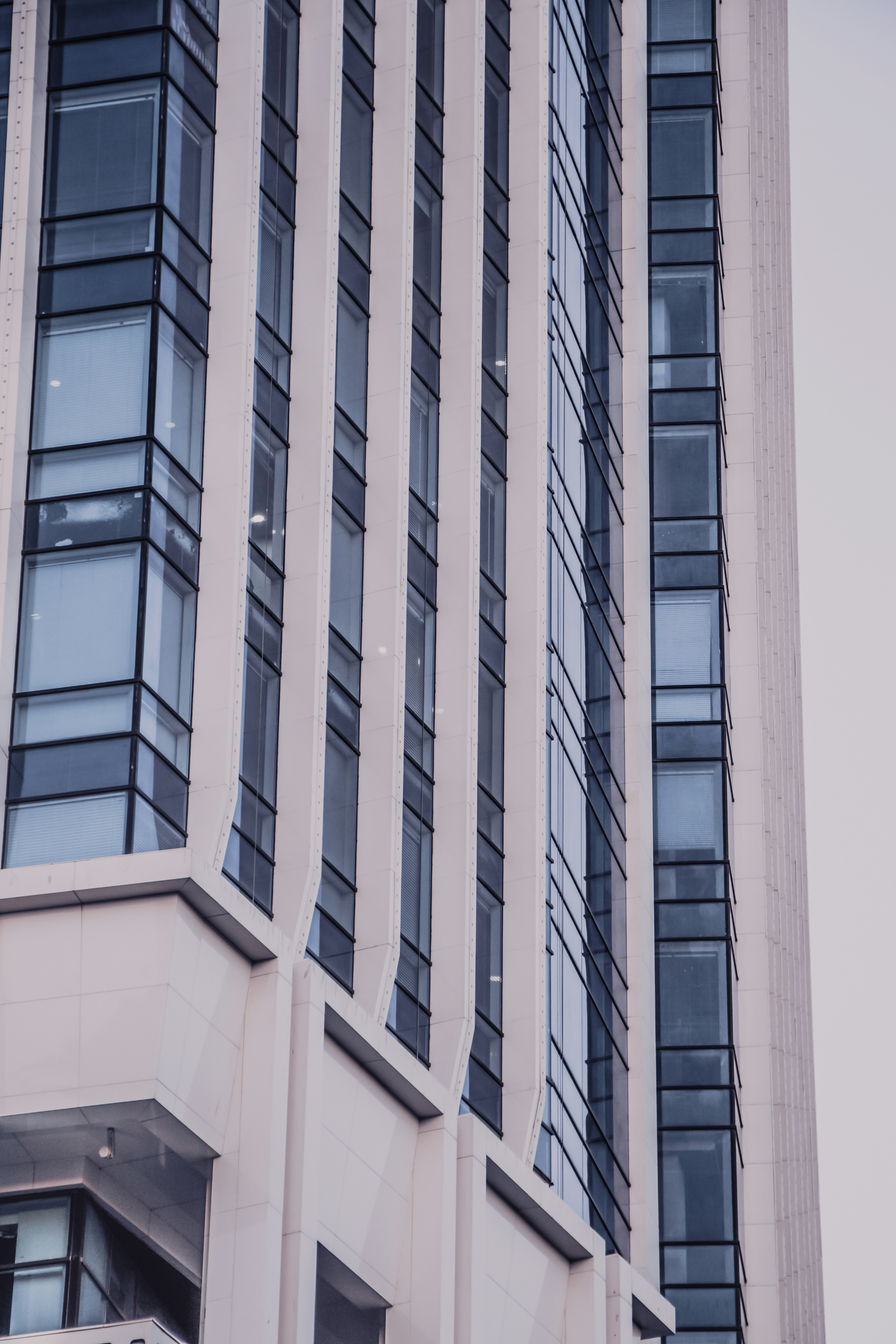 Photo by mahdibafande