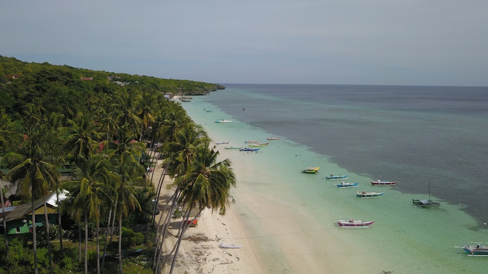 a beach with boats on the water and palm trees