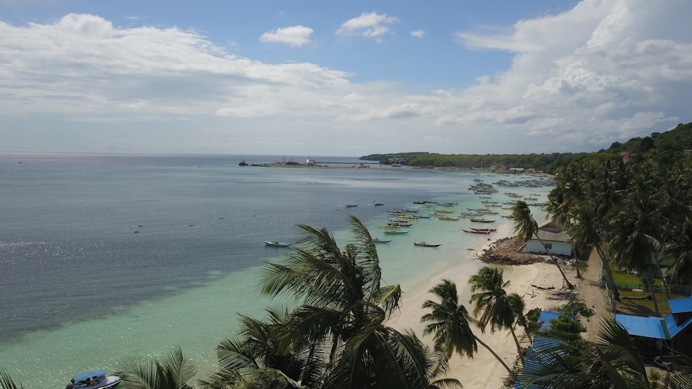 a beach with a lot of boats and palm trees