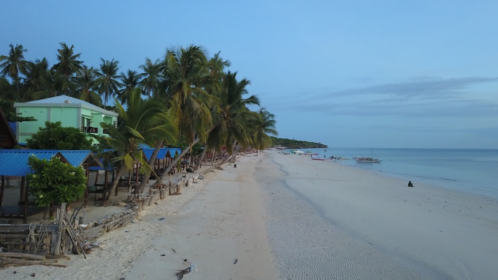 a beach with palm trees and a blue building