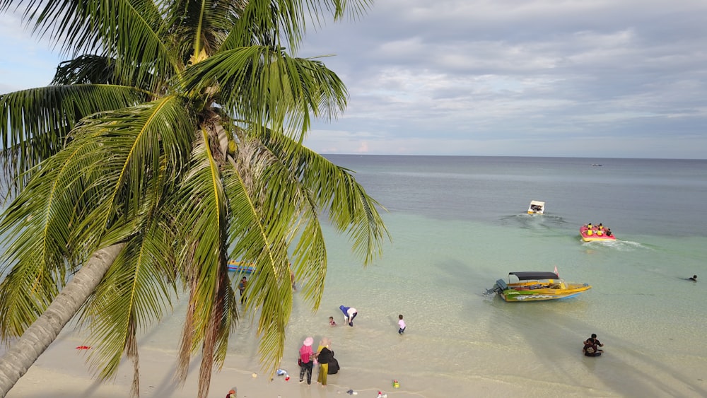 a group of people standing on top of a sandy beach