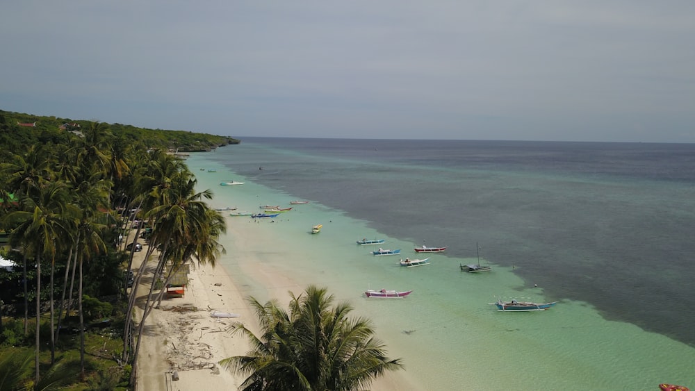 a beach with a lot of boats in the water