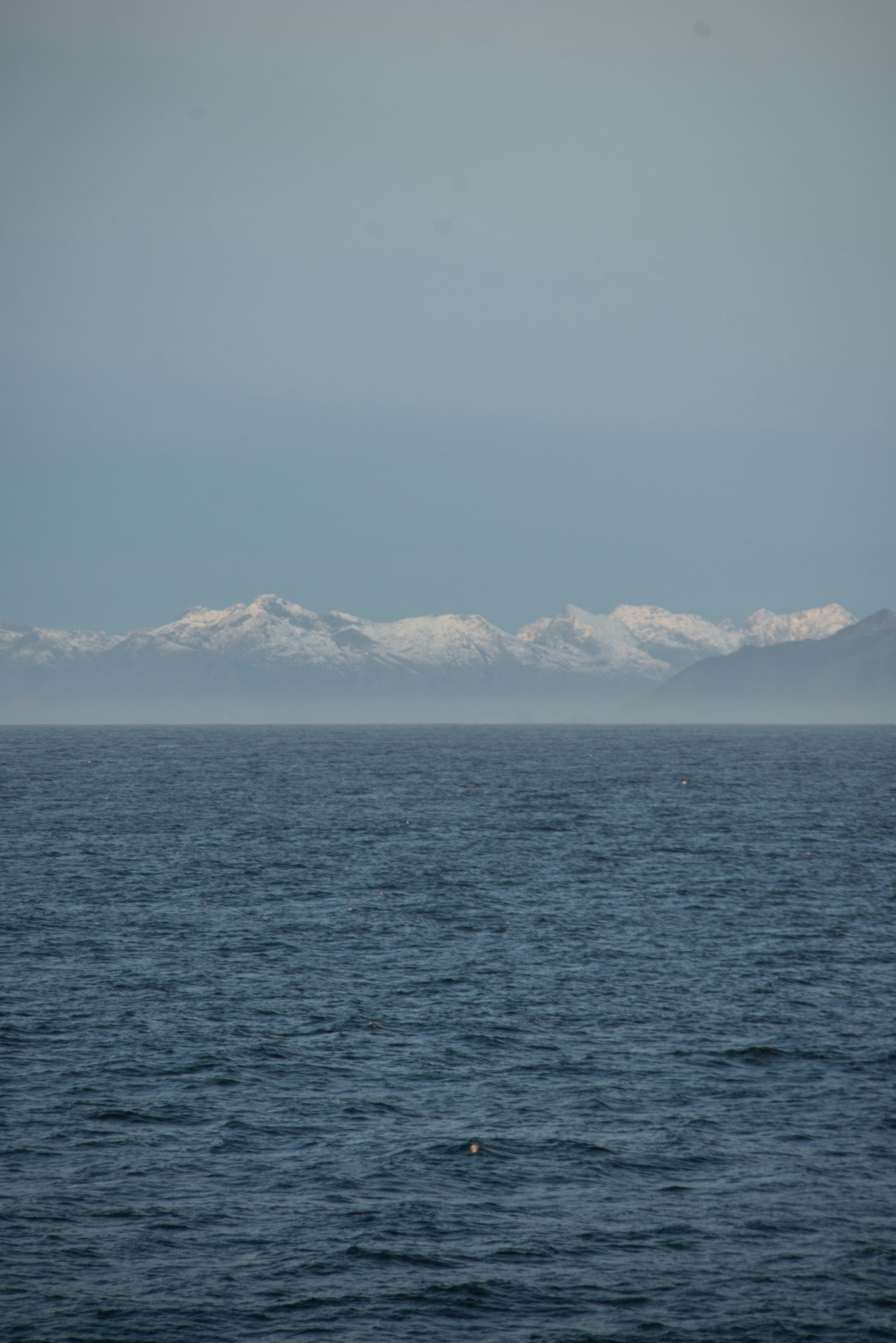 Photo by captoprisko