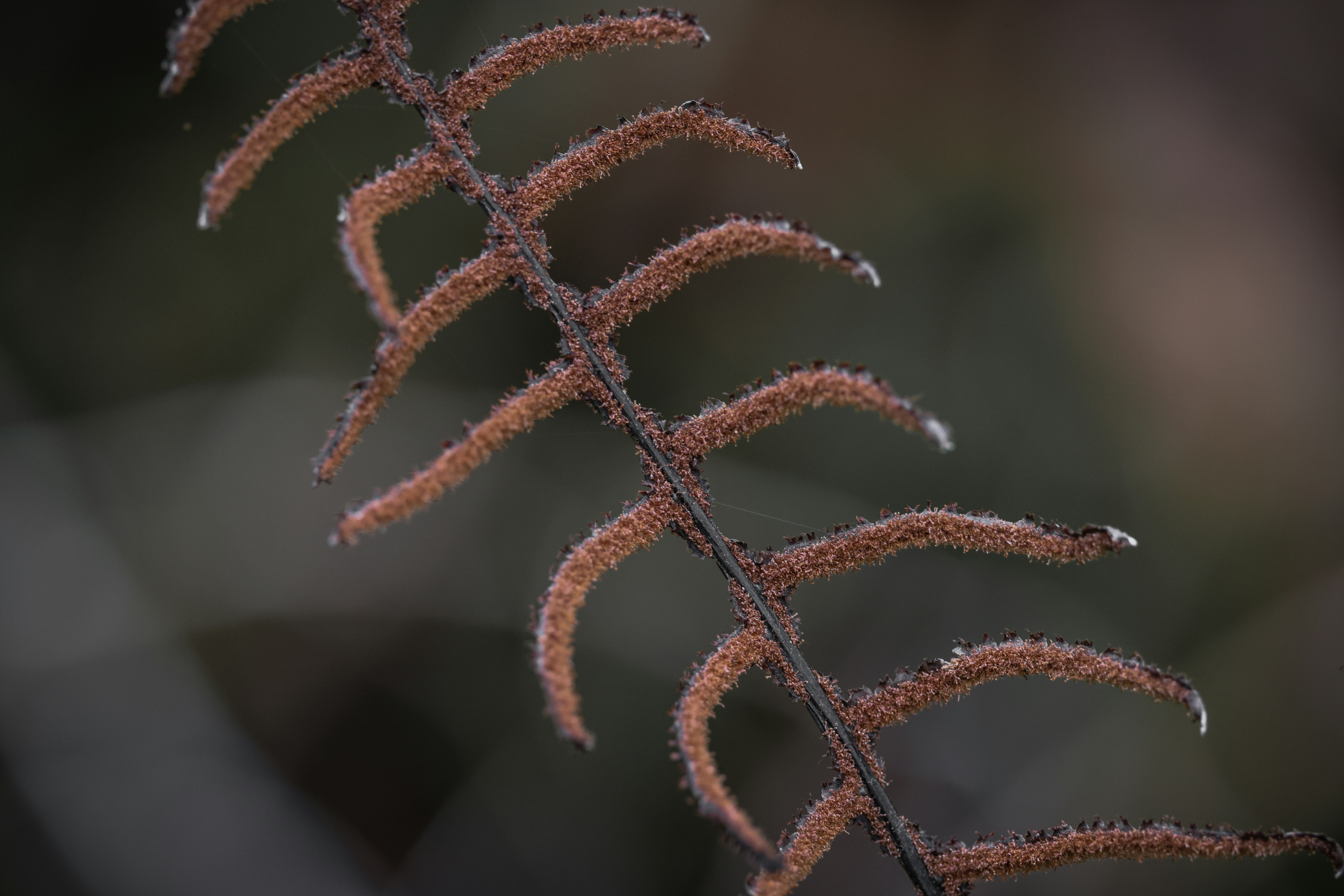 Photo by tonystoddard