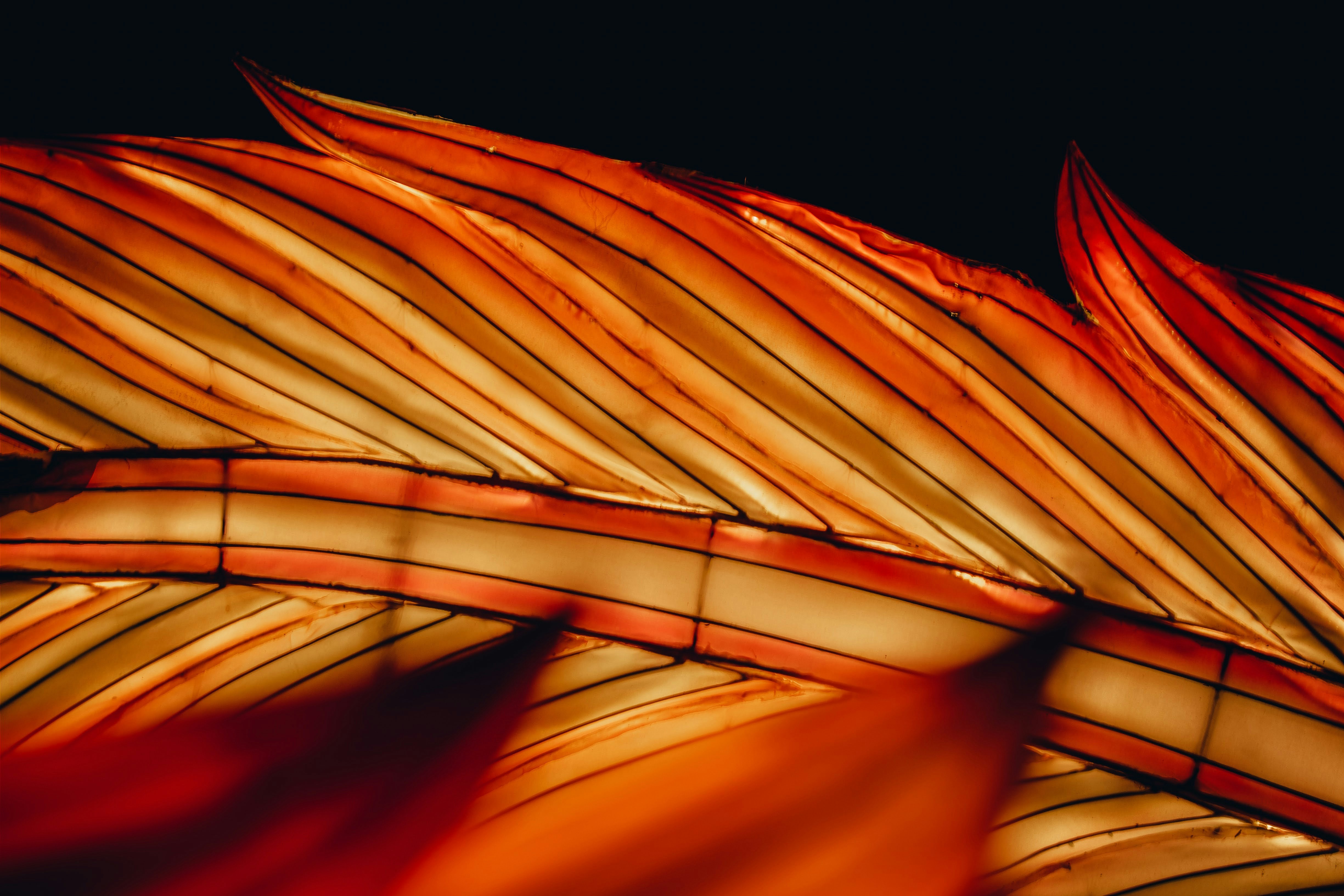 Photo by brice_cooper18