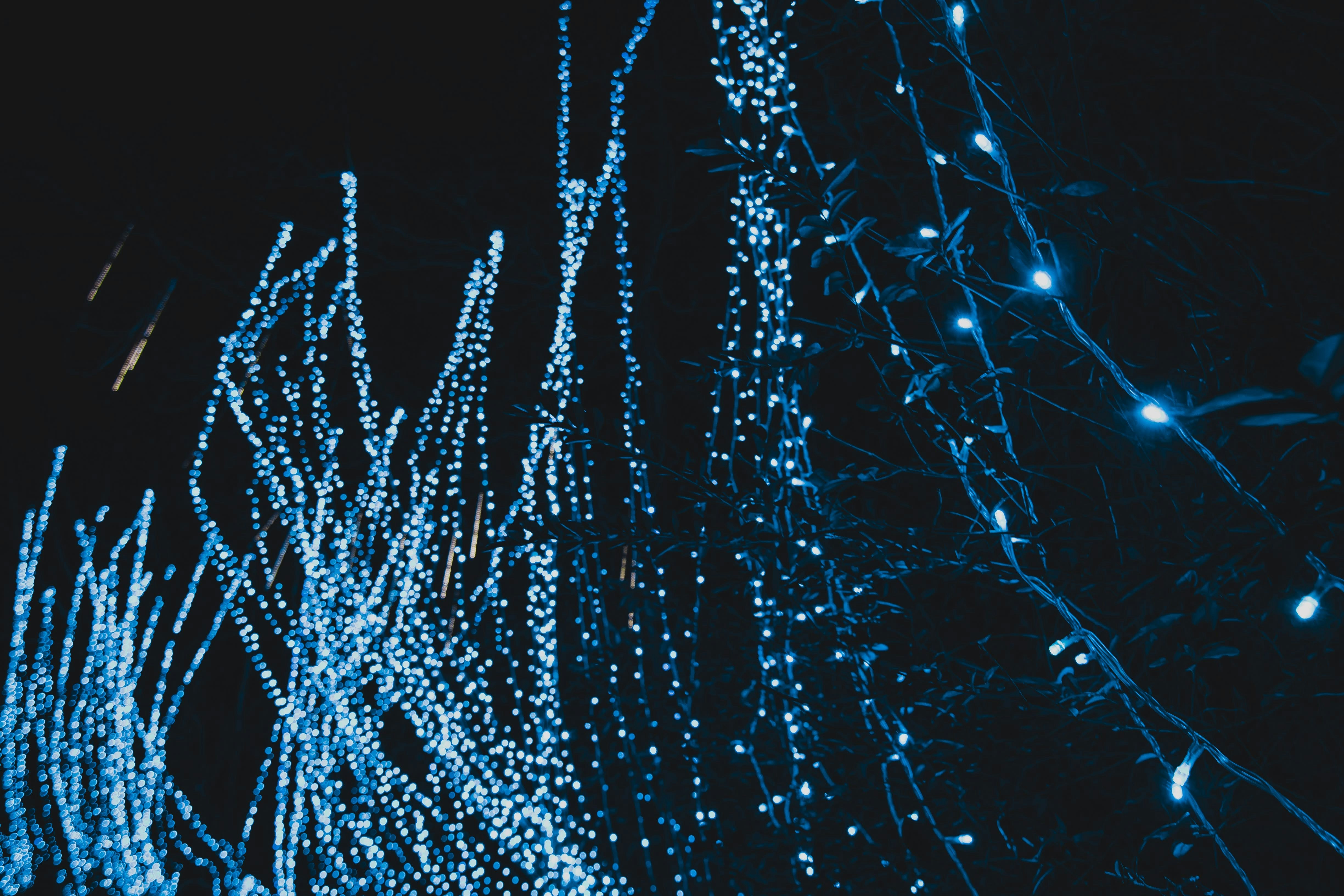 Photo by brice_cooper18