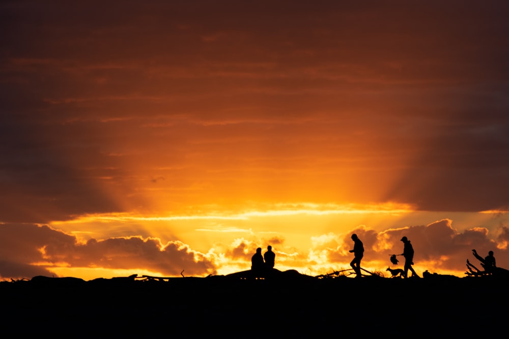 a group of people walking across a field at sunset