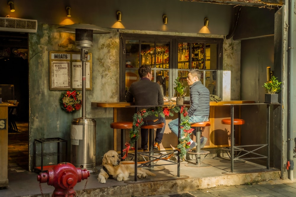 a man and a woman sitting at a bar with two dogs