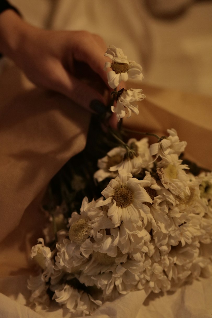 Everyday flower bunch in Calicut — wildflowers and daisies tied with twine