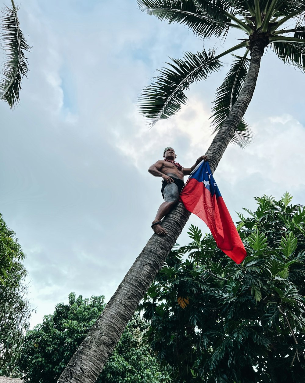 a man standing on top of a palm tree holding a flag