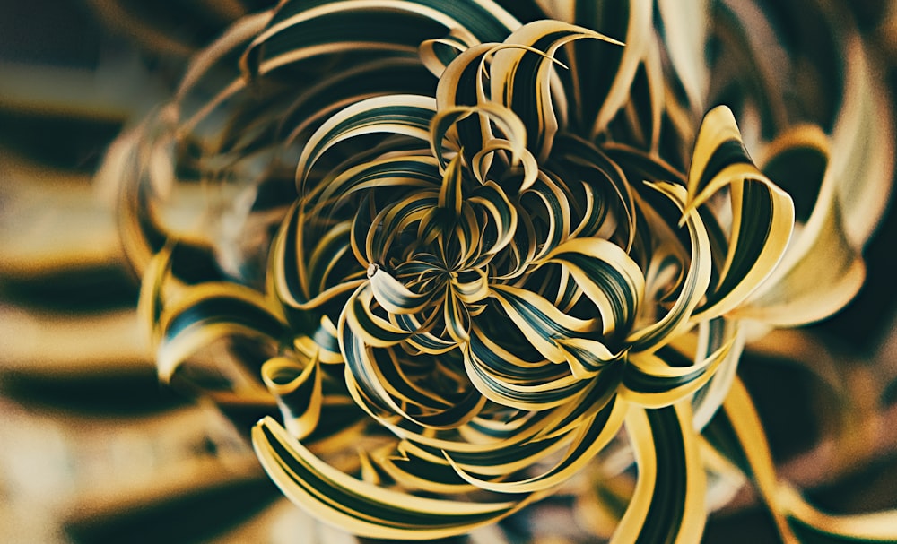 a close up view of a spiral design