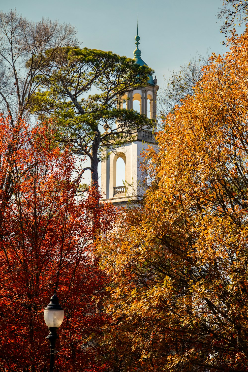 a clock tower surrounded by trees in the fall