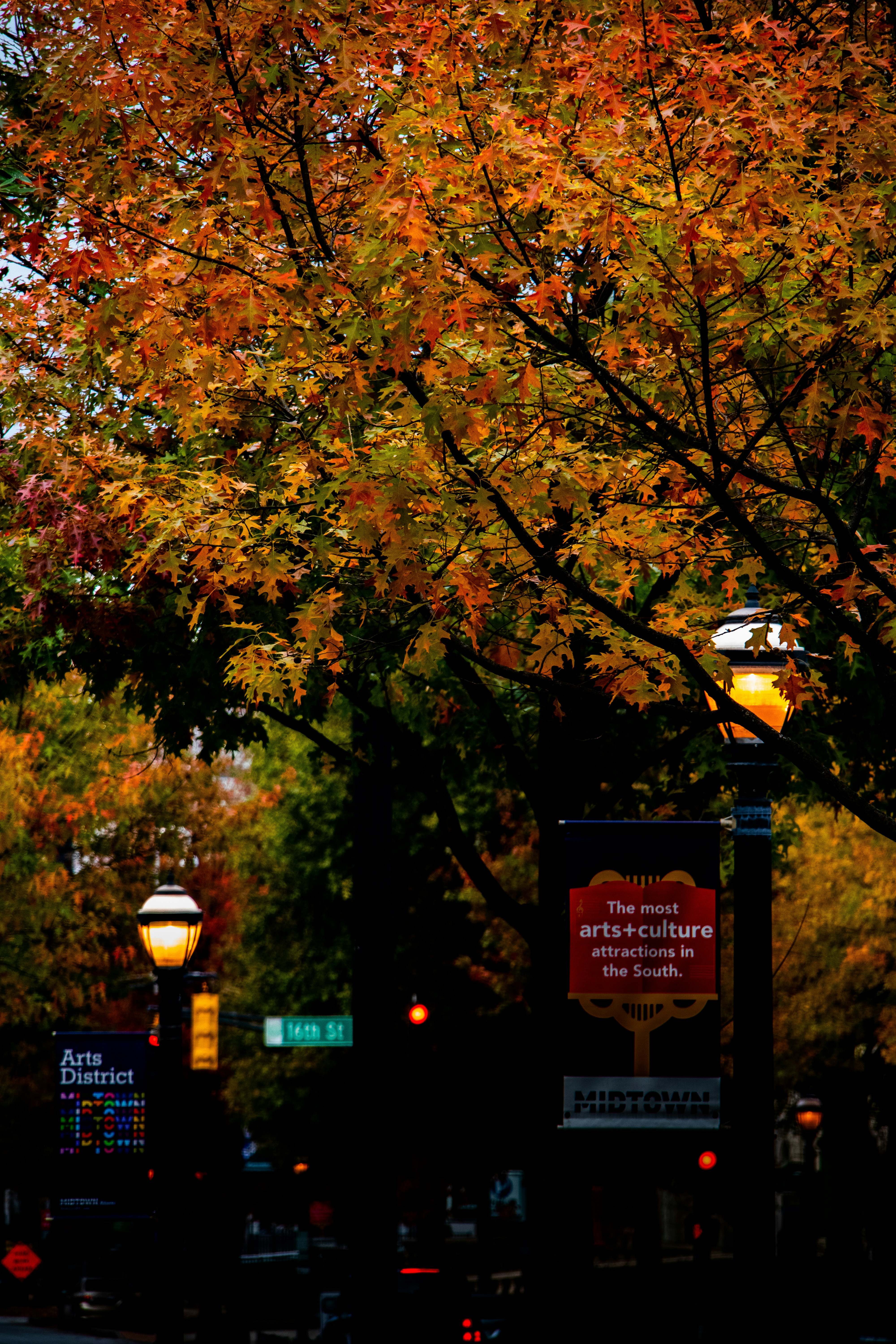 Photo by woomantsing