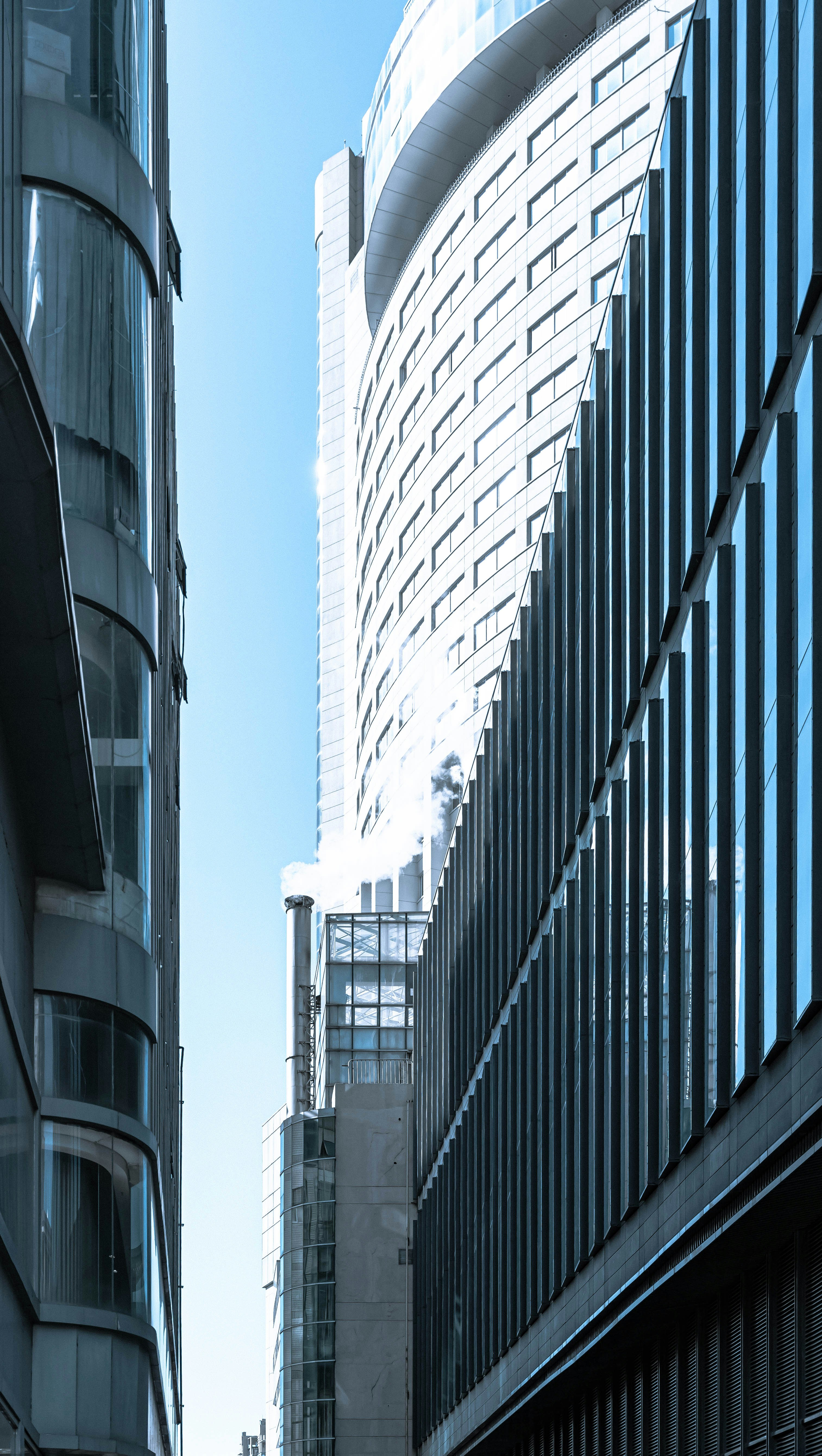 Photo by mocking_bird