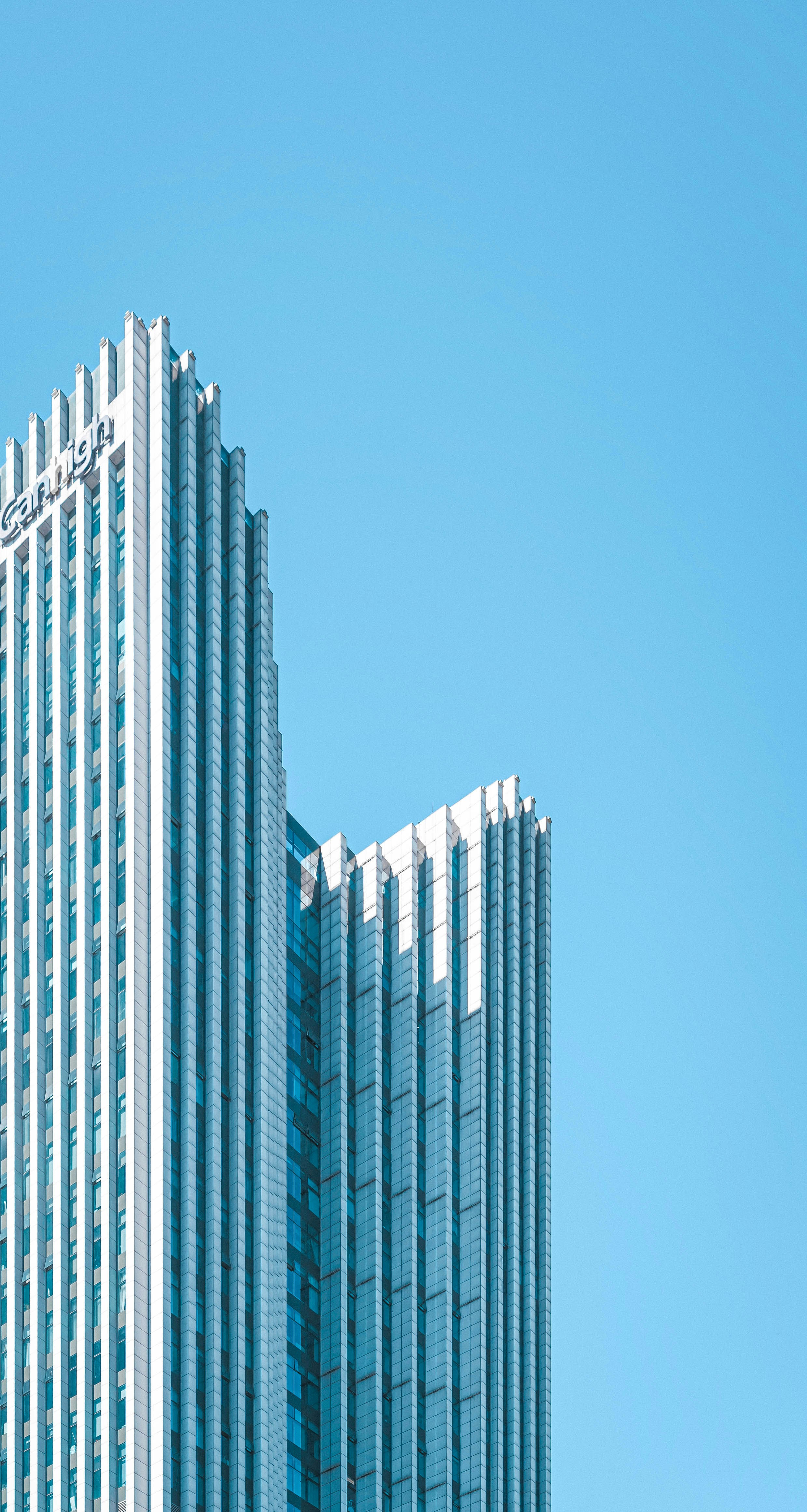 Photo by mocking_bird