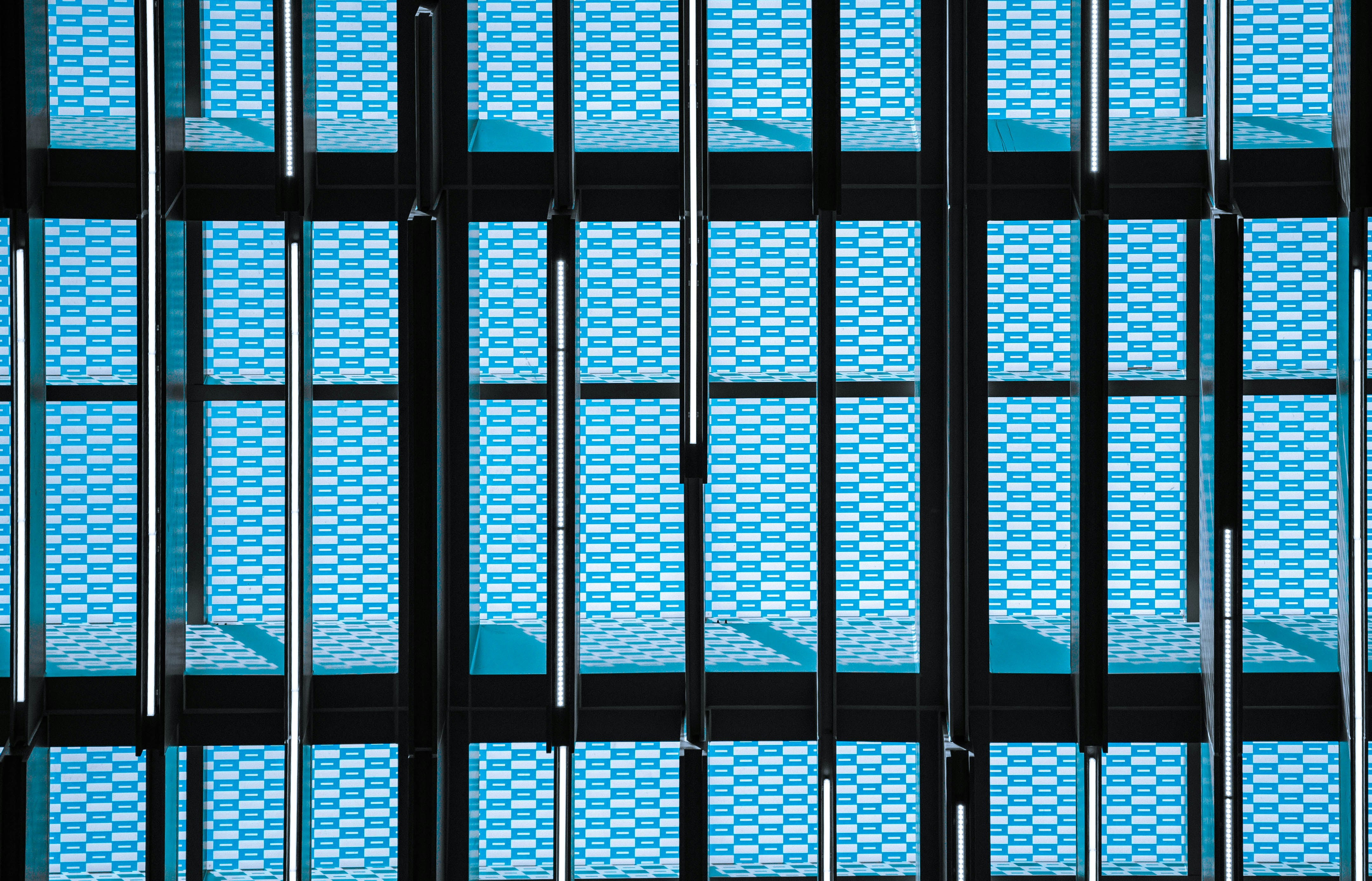 Photo by mocking_bird