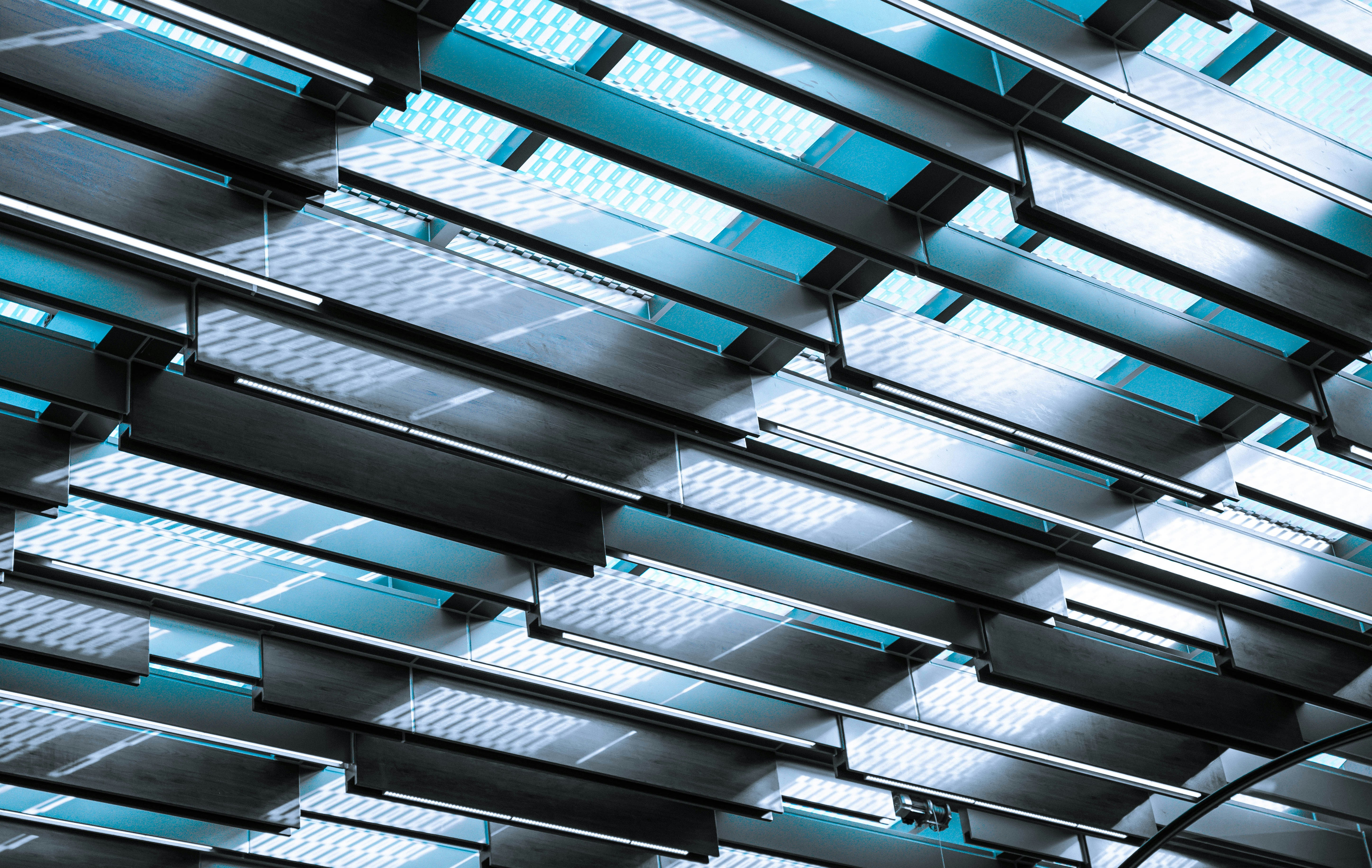 Photo by mocking_bird