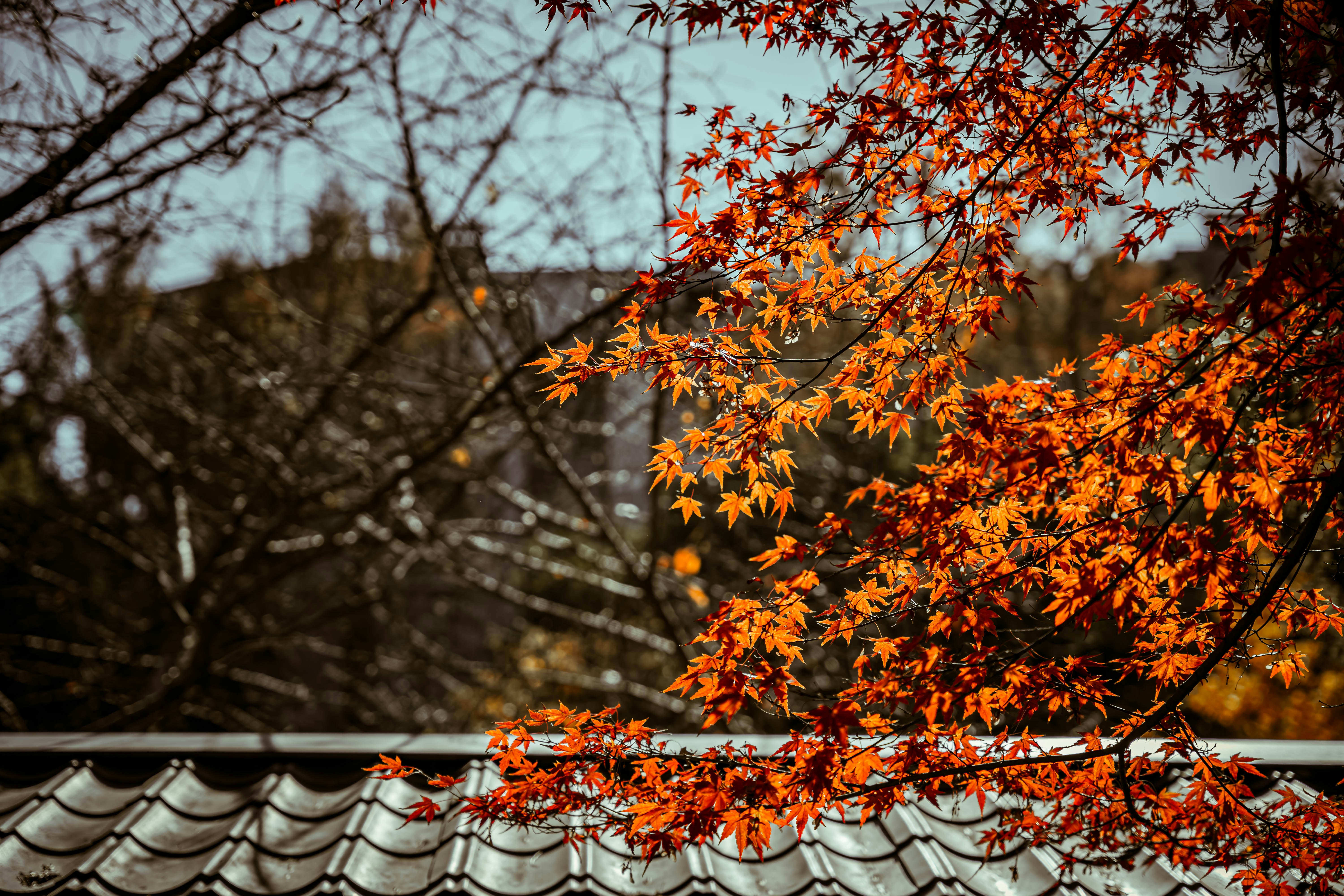 Wenn der Herbst auf der Terrasse einzieht: Gemütlich, bunt und authentisch