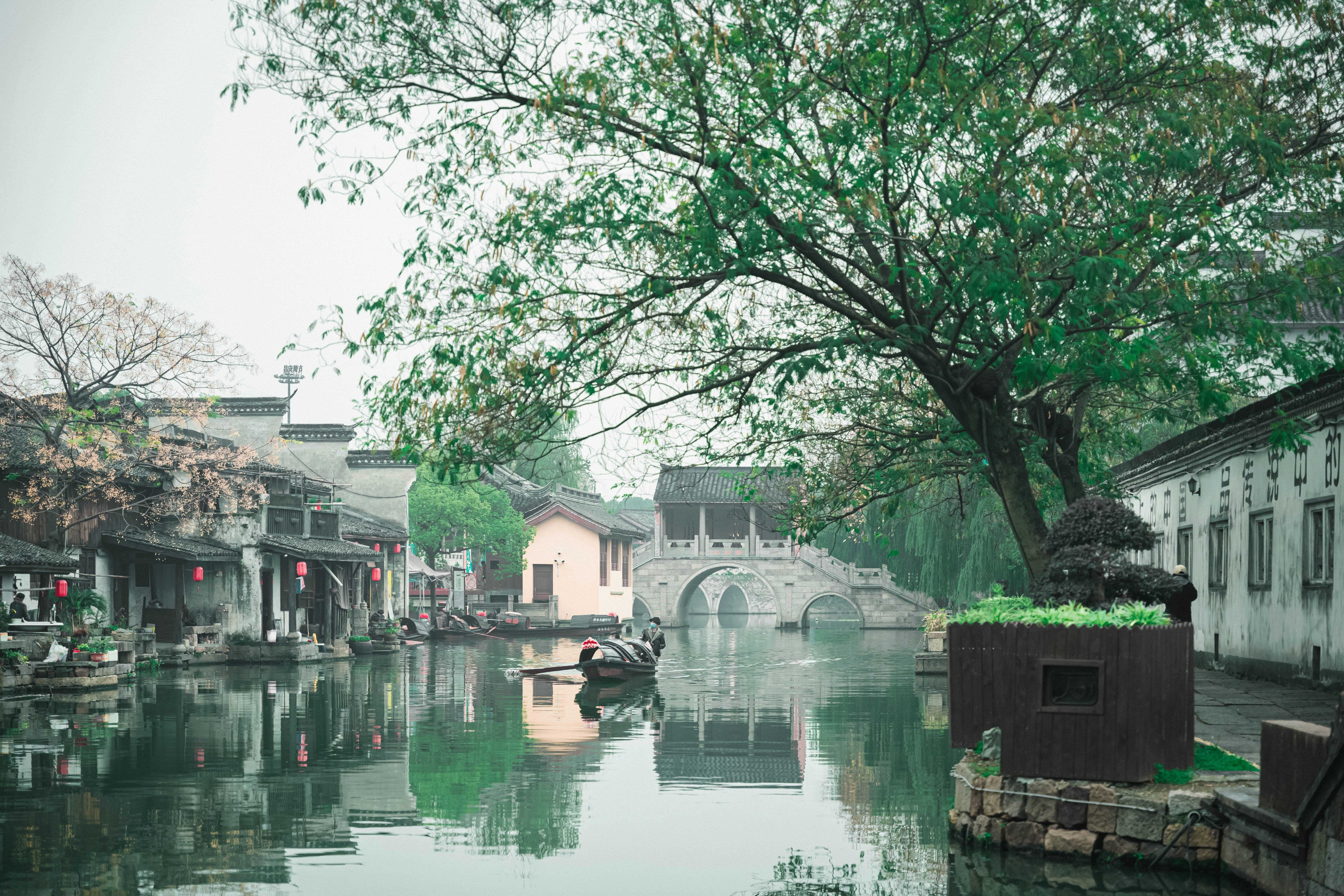 Photo by mocking_bird