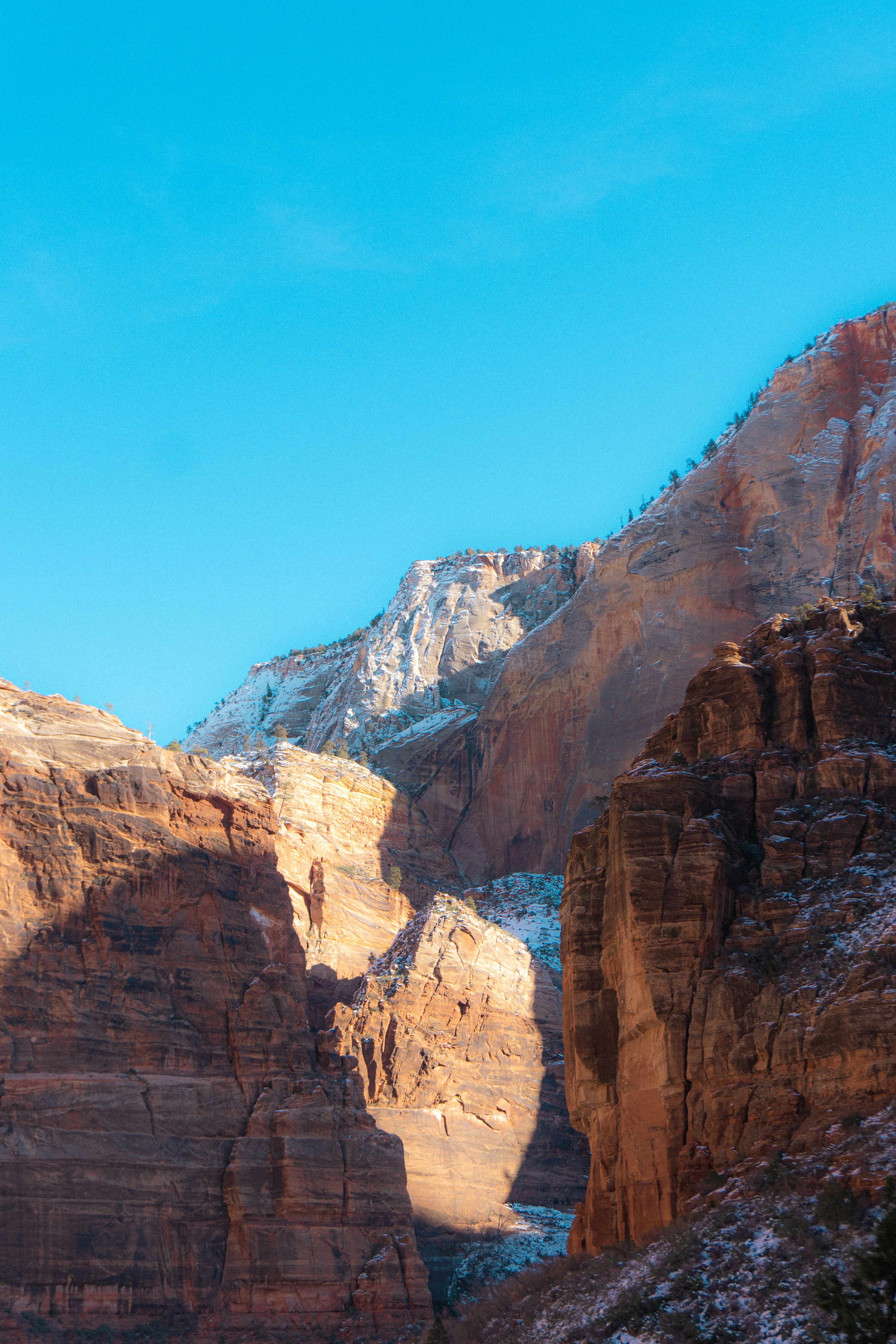 Photo by carterledford