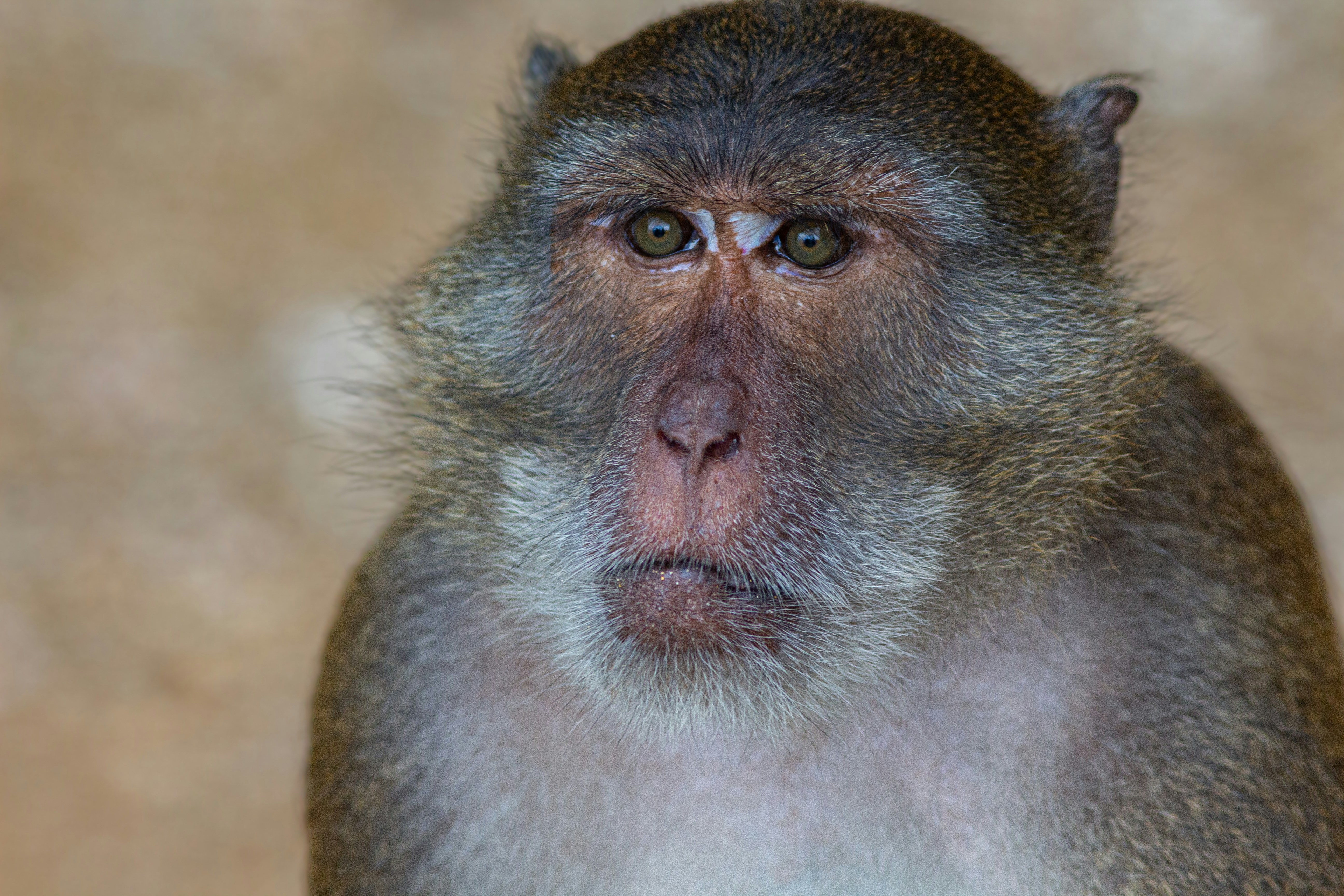 Photo by jammytheswan