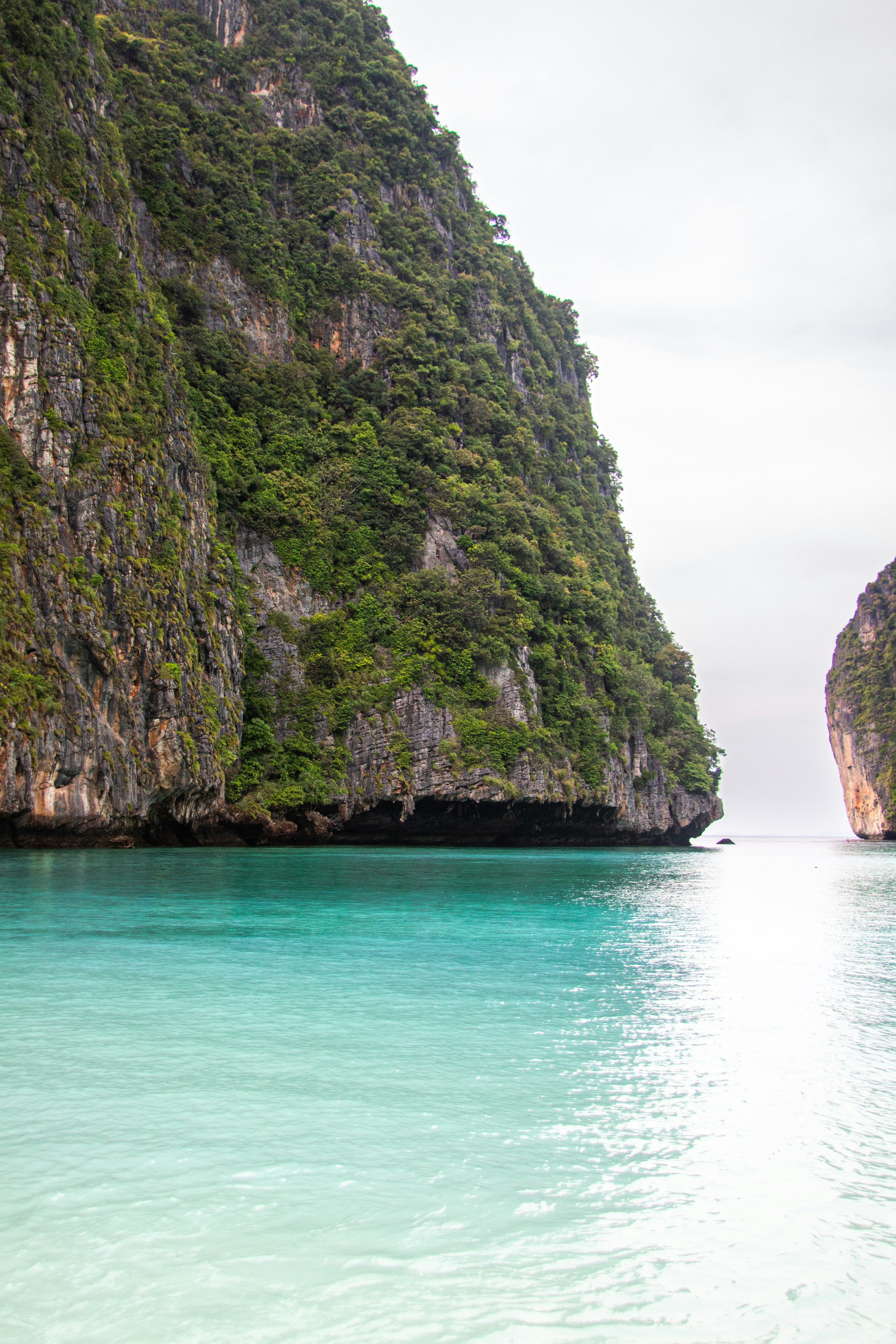 Photo by jammytheswan