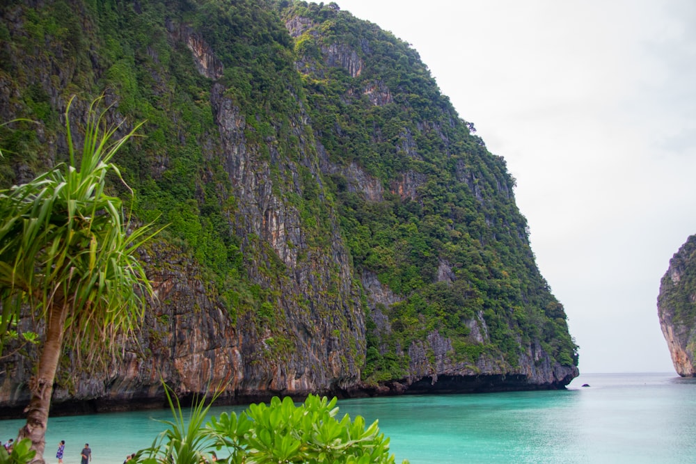 a view of a beach with a mountain in the background