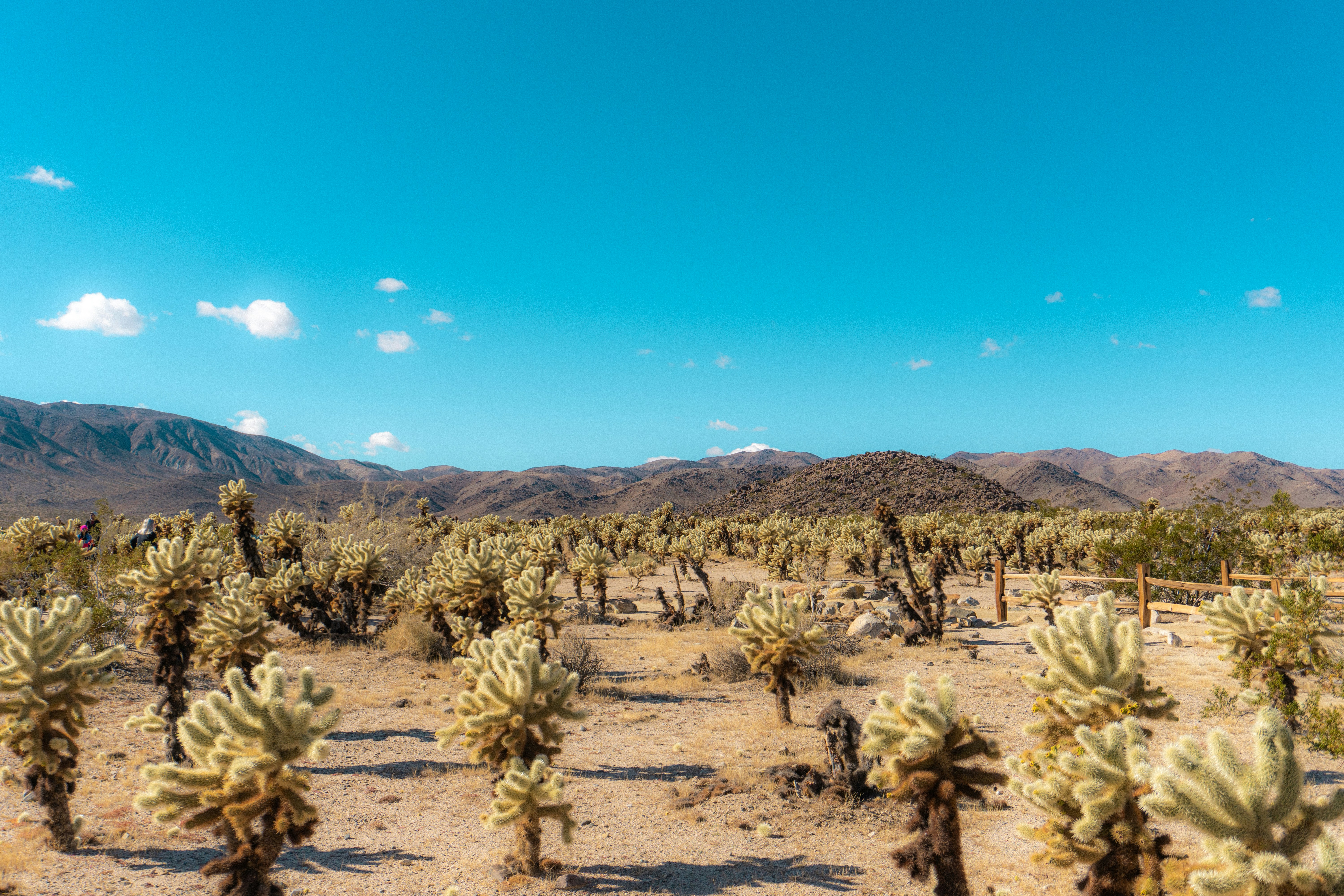 Photo by carterledford