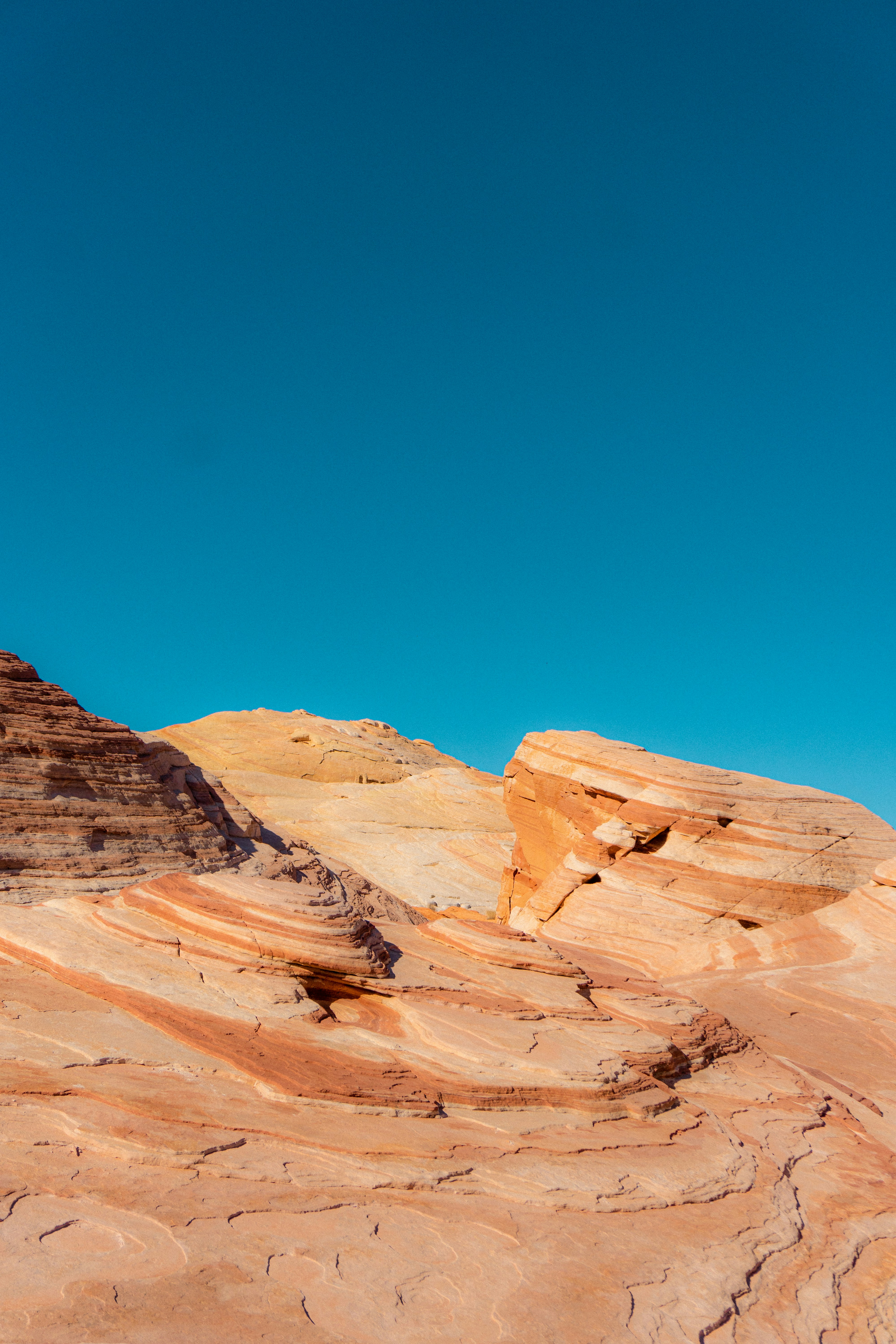 Photo by carterledford