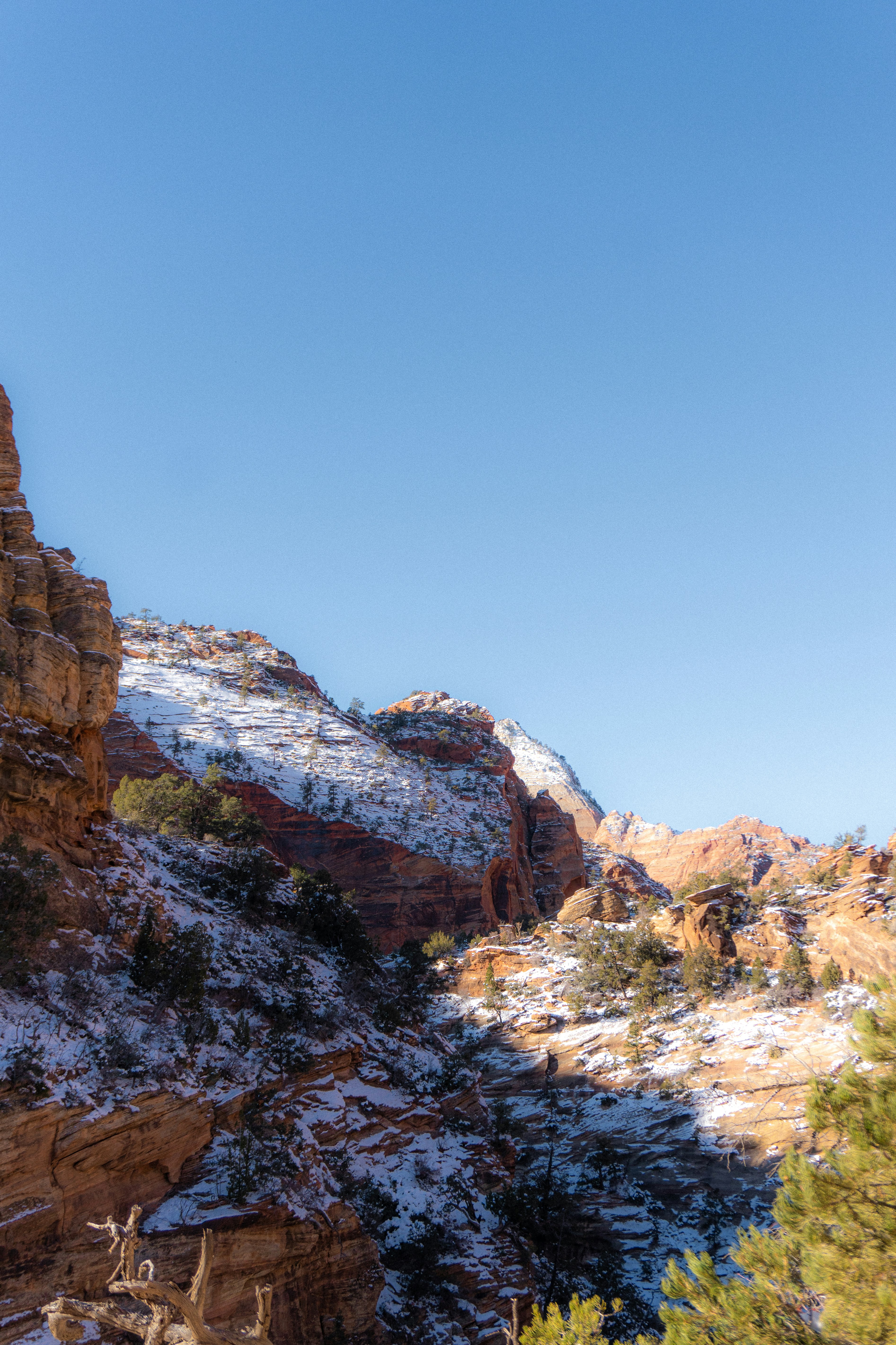 Photo by carterledford