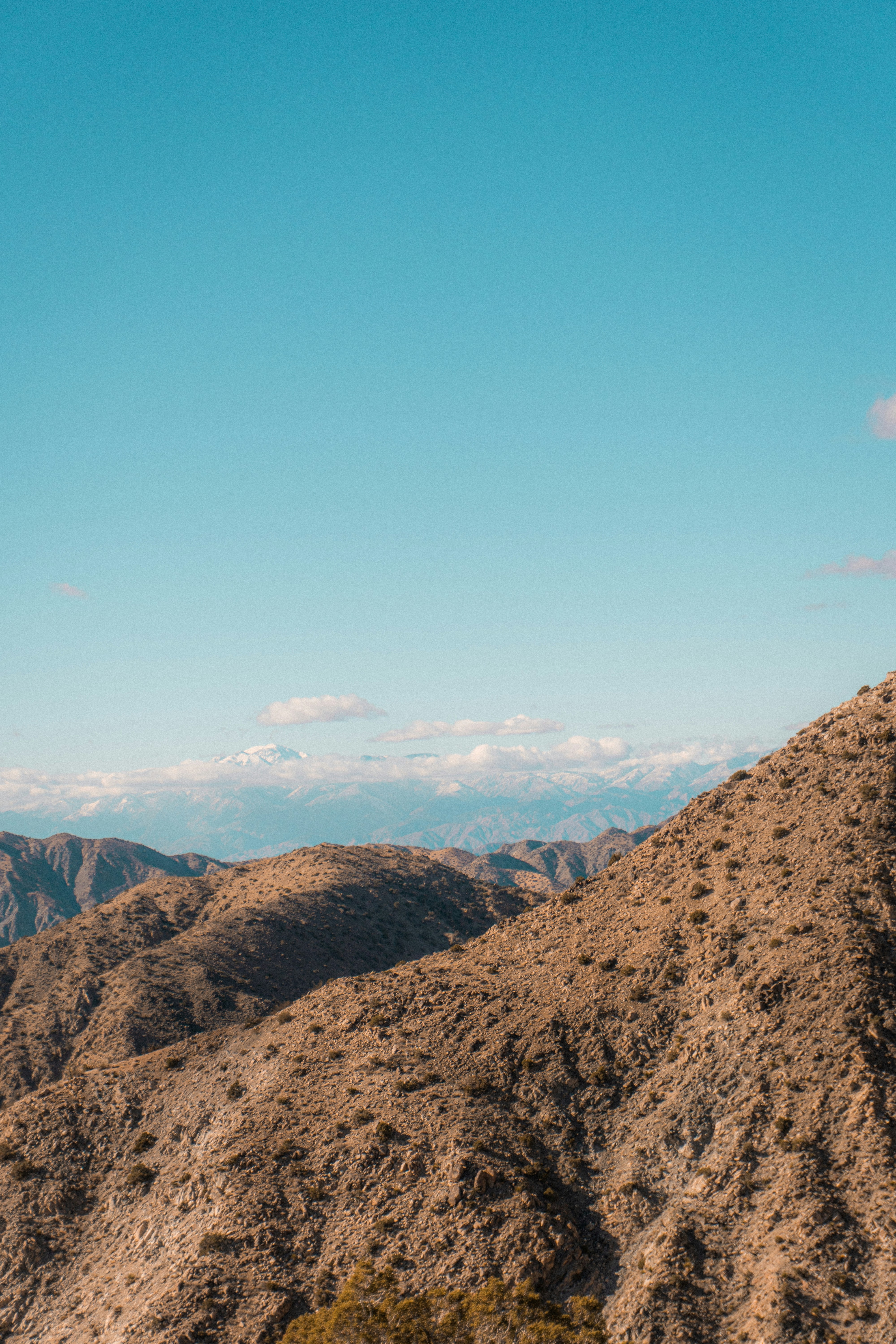 Photo by carterledford