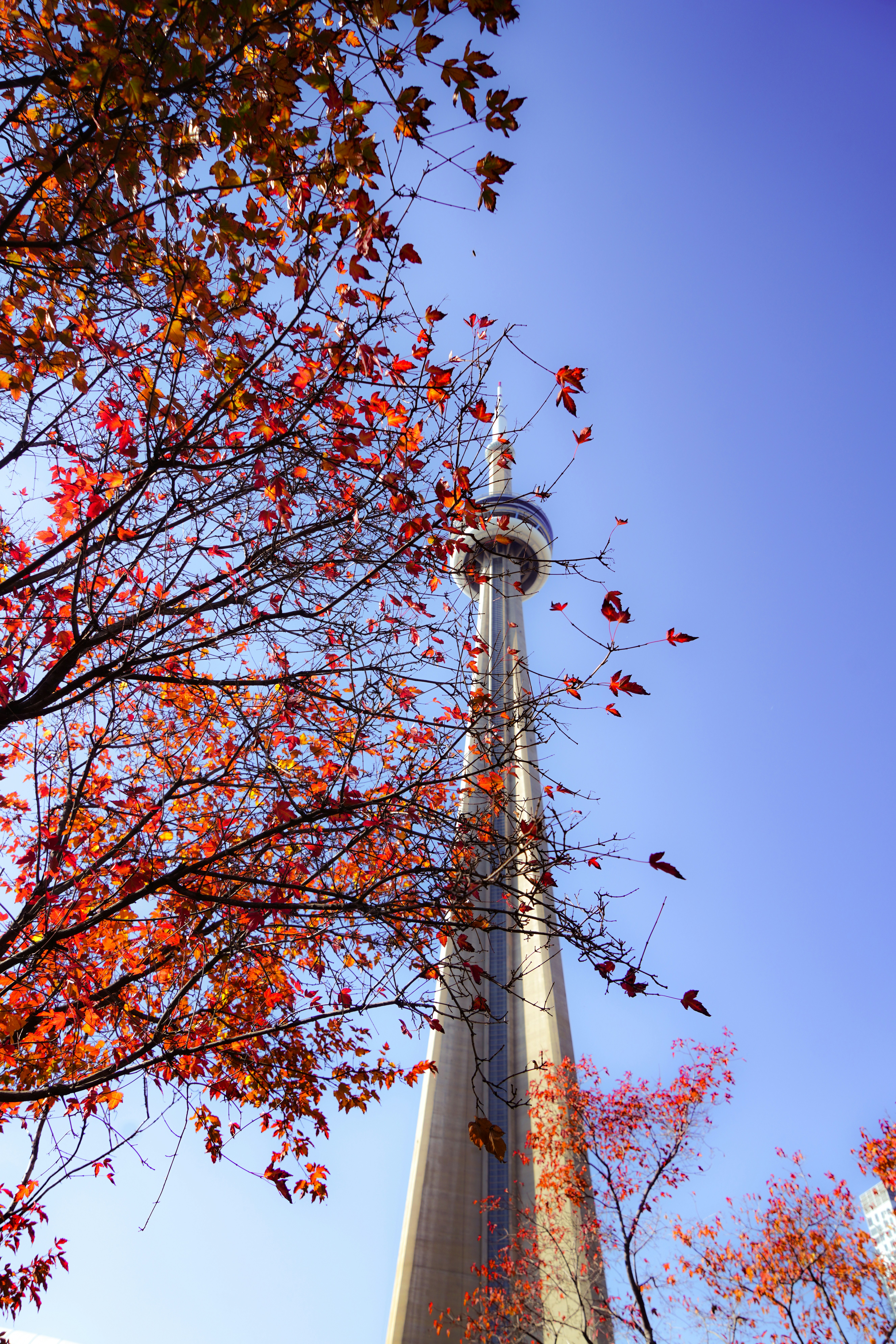 a tall tower with a clock on the top of it