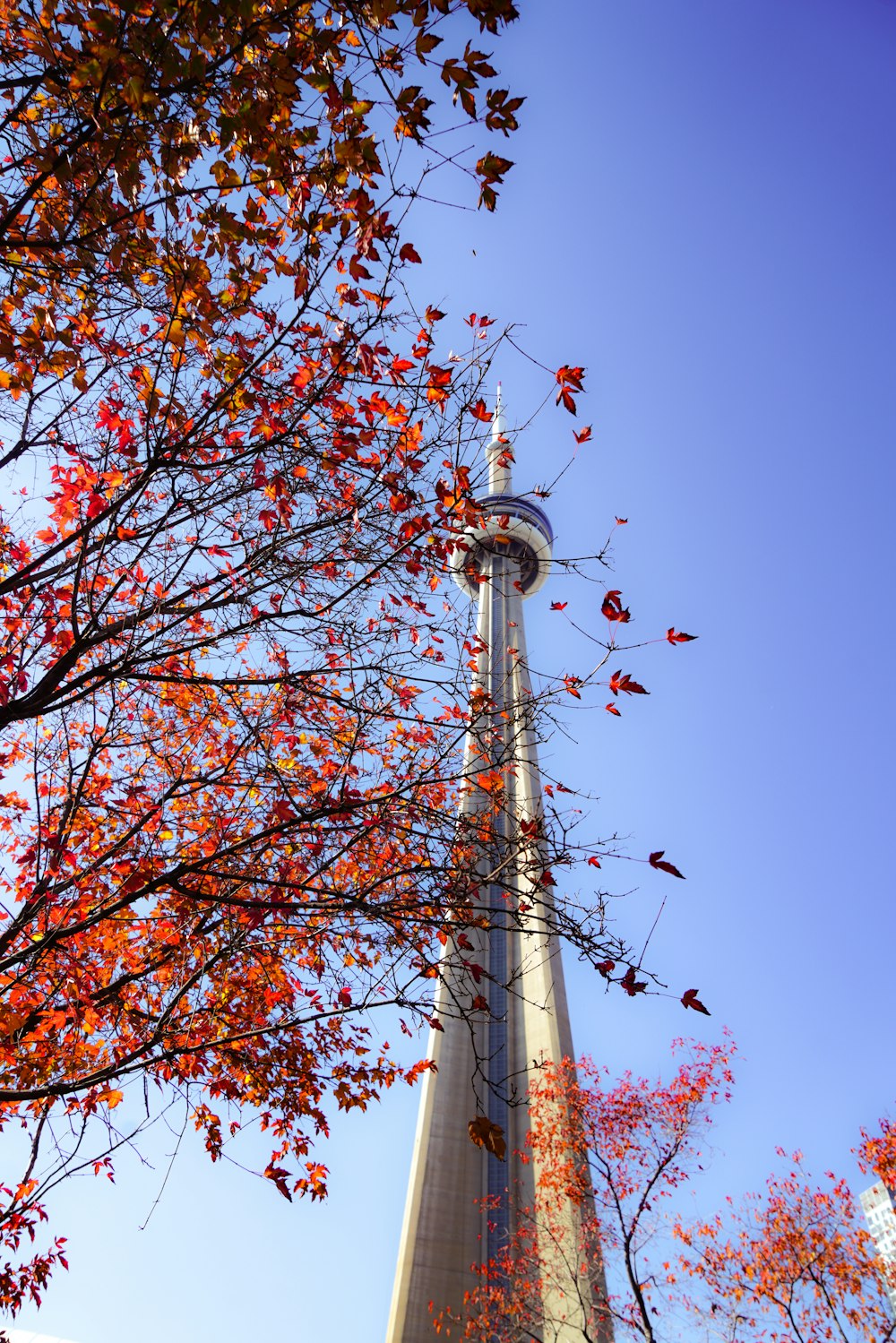 a tall tower with a clock on the top of it