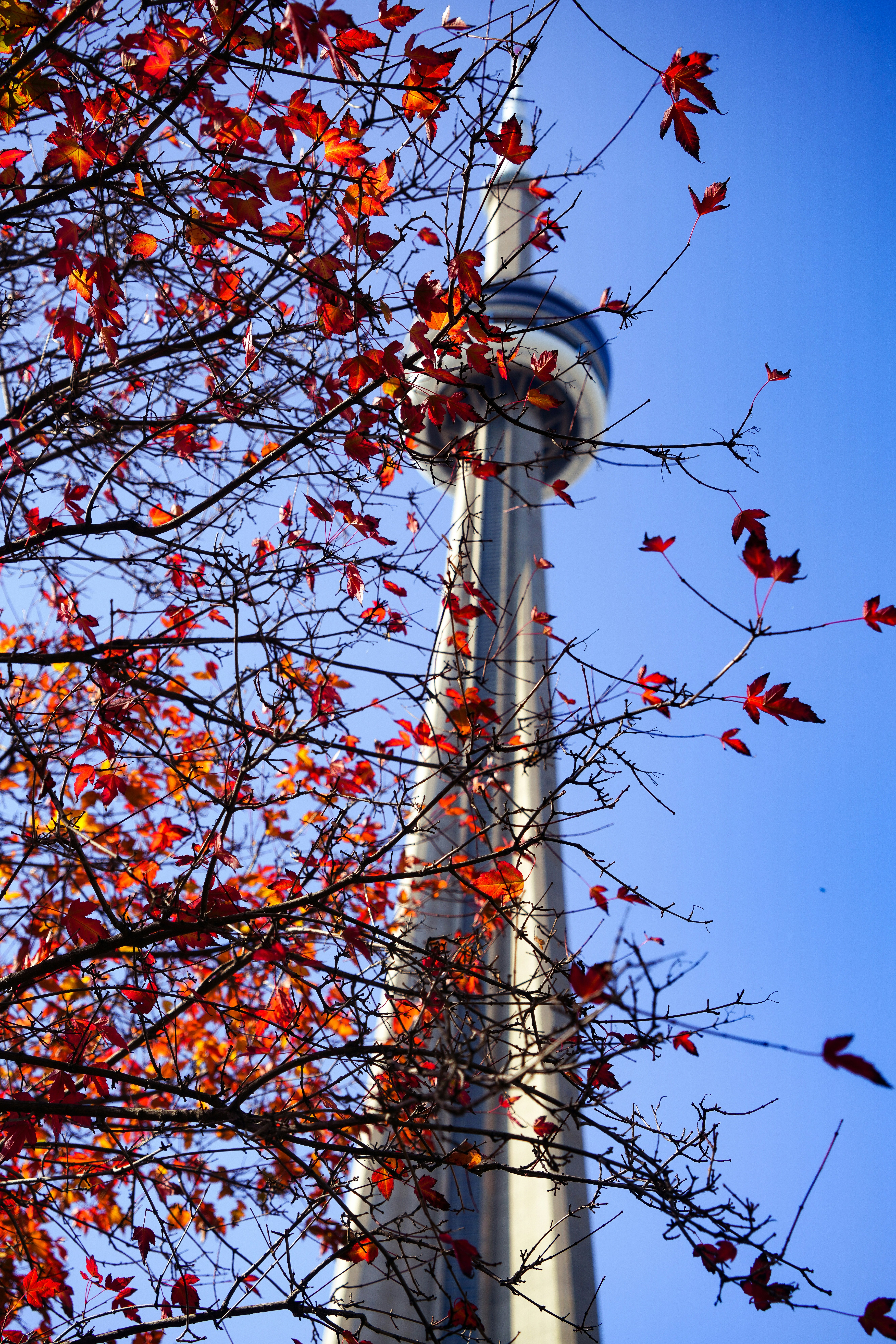 Photo by misha_levko