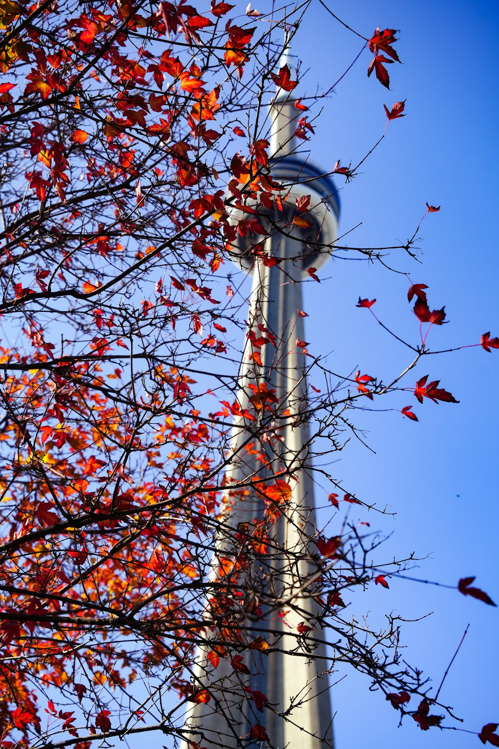 Un'alta torre con un grattacielo sullo sfondo