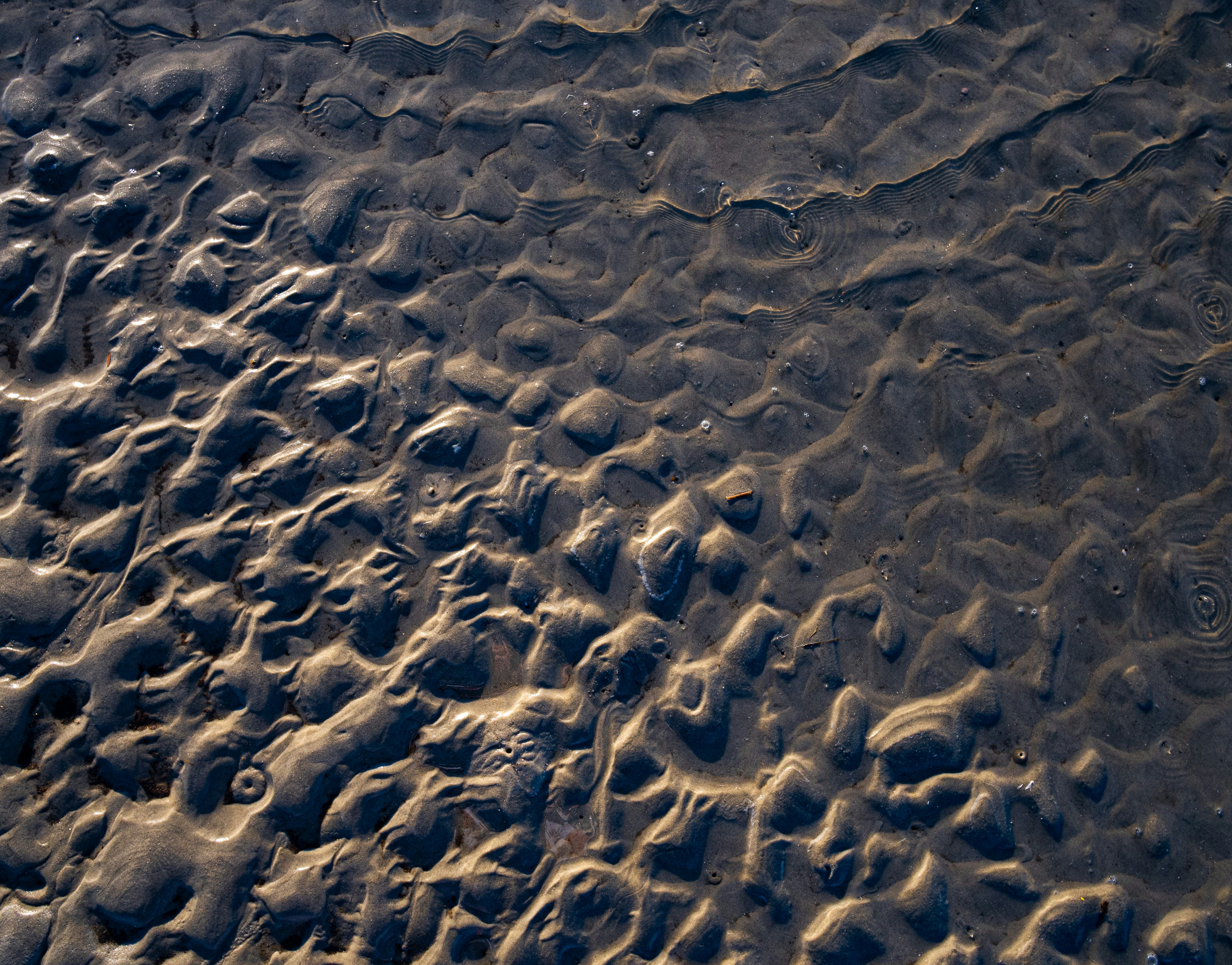 Different sea floor types such as sand, mud, and rock - boating anchors