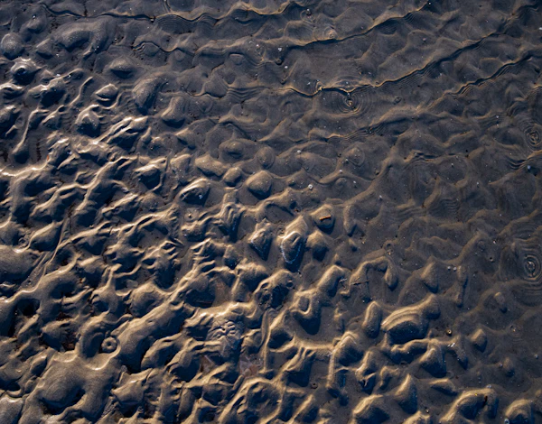 Textura arena oscura y agua — close-up costero
