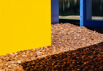 A bright yellow wall intersects with a blue chain-link fence. The ground is covered with brown, tan, and gray pebbles, creating a textured foreground. In the background, there's a glimpse of a green lawn and a body of water reflecting light.