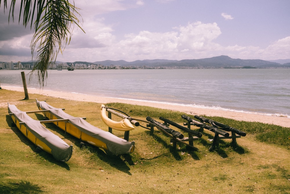 a row of canoes sitting on top of a grass covered beach