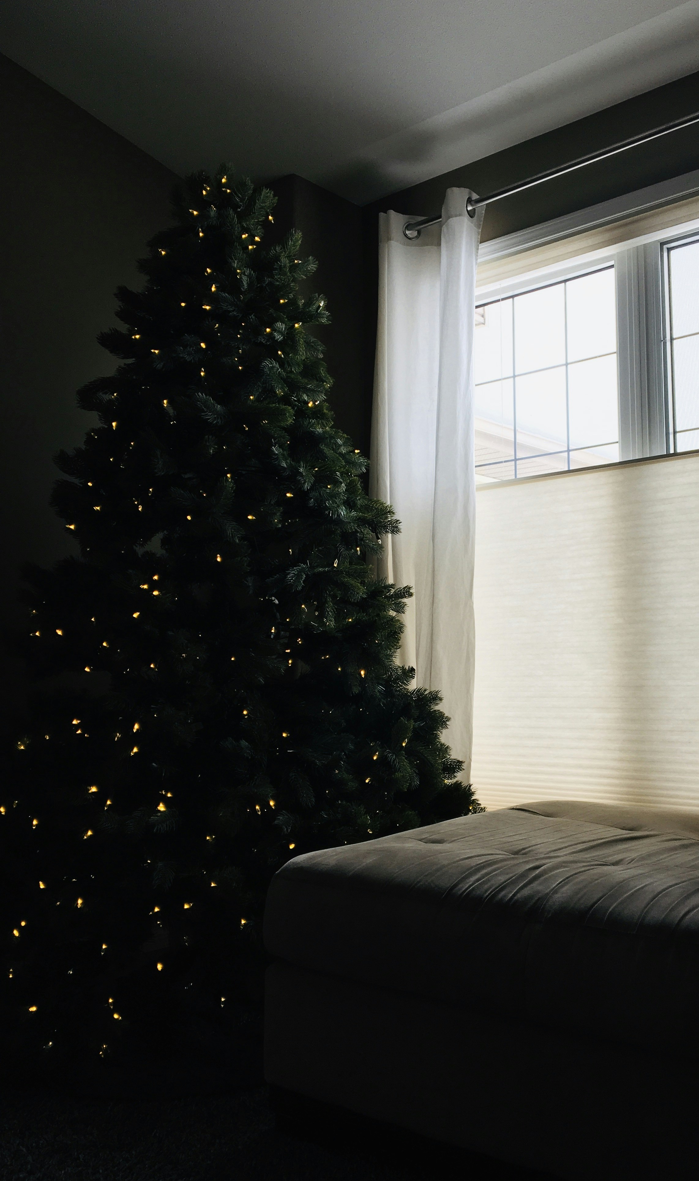 Photo by brooklynkorol