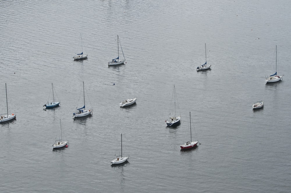 un gruppo di piccole imbarcazioni galleggianti in cima a uno specchio d'acqua