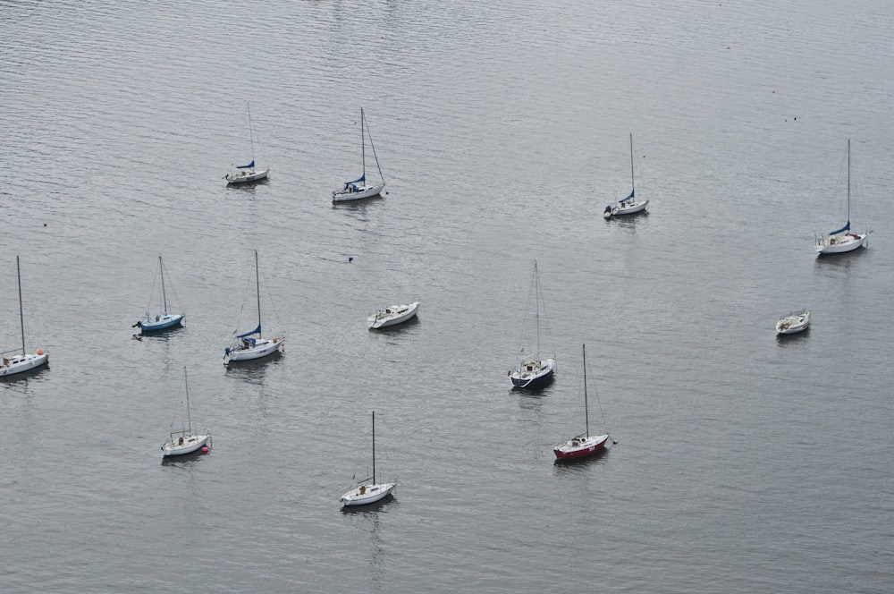 a group of small boats floating on top of a body of water