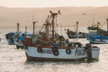 Several fishing boats float on calm water under a soft, warm light as the sun sets behind distant hills. The boats are adorned with nets, ropes, and buoys, and seagulls perch on them. The atmosphere is peaceful and serene, with gentle waves and birds flying above.