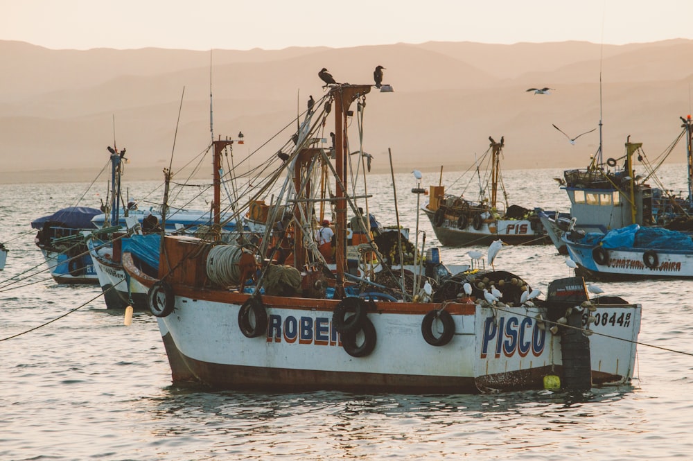 a number of boats in a body of water