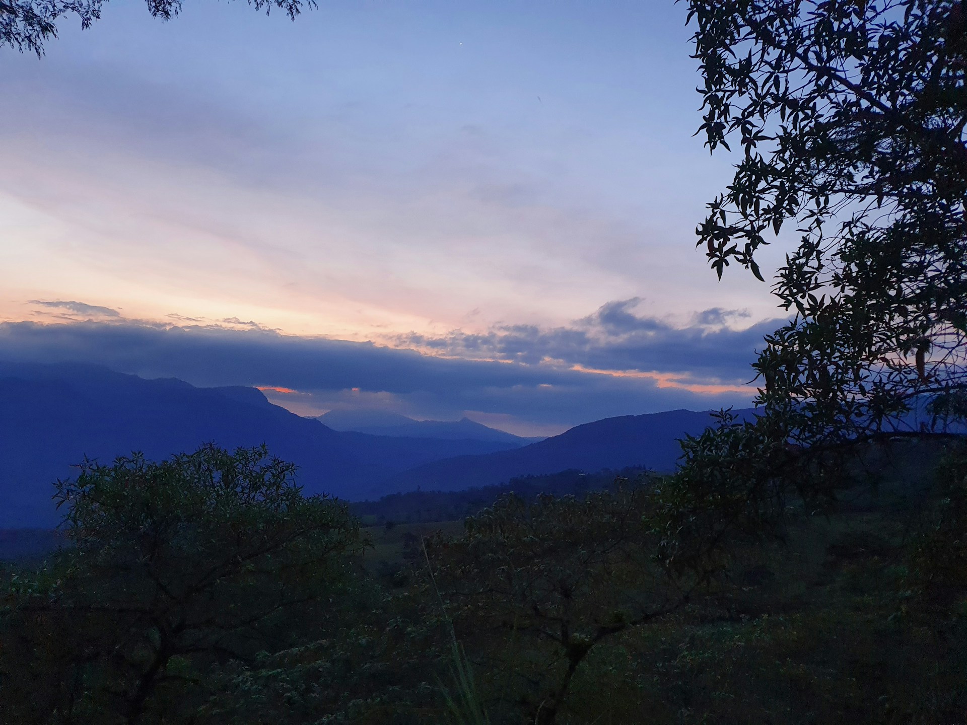 gray computer monitor
