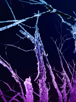  fonctionnement neurologique atypique